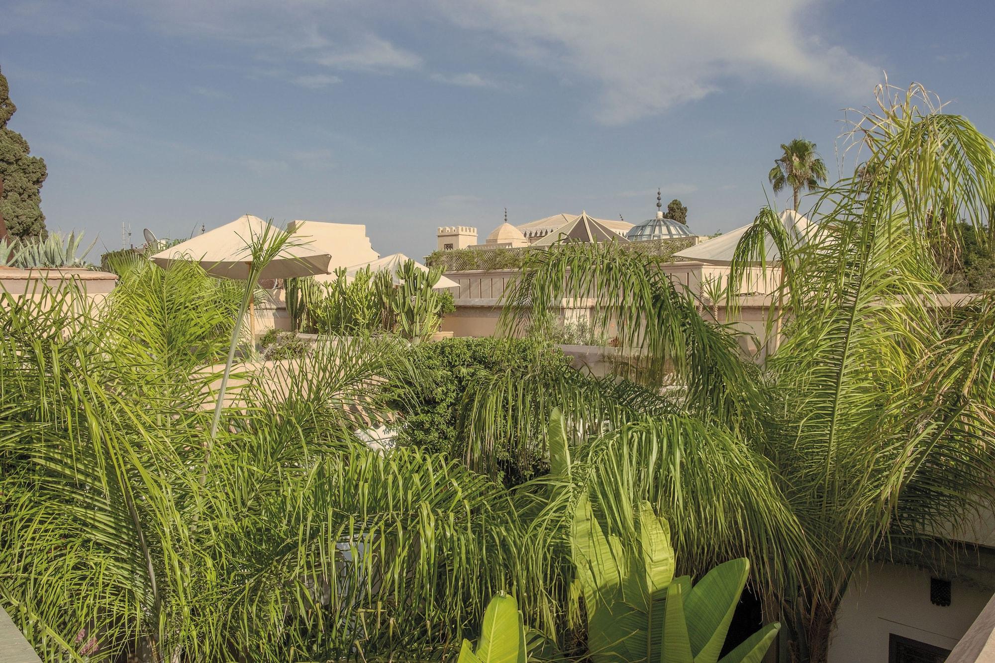 Riad Jaaneman by null