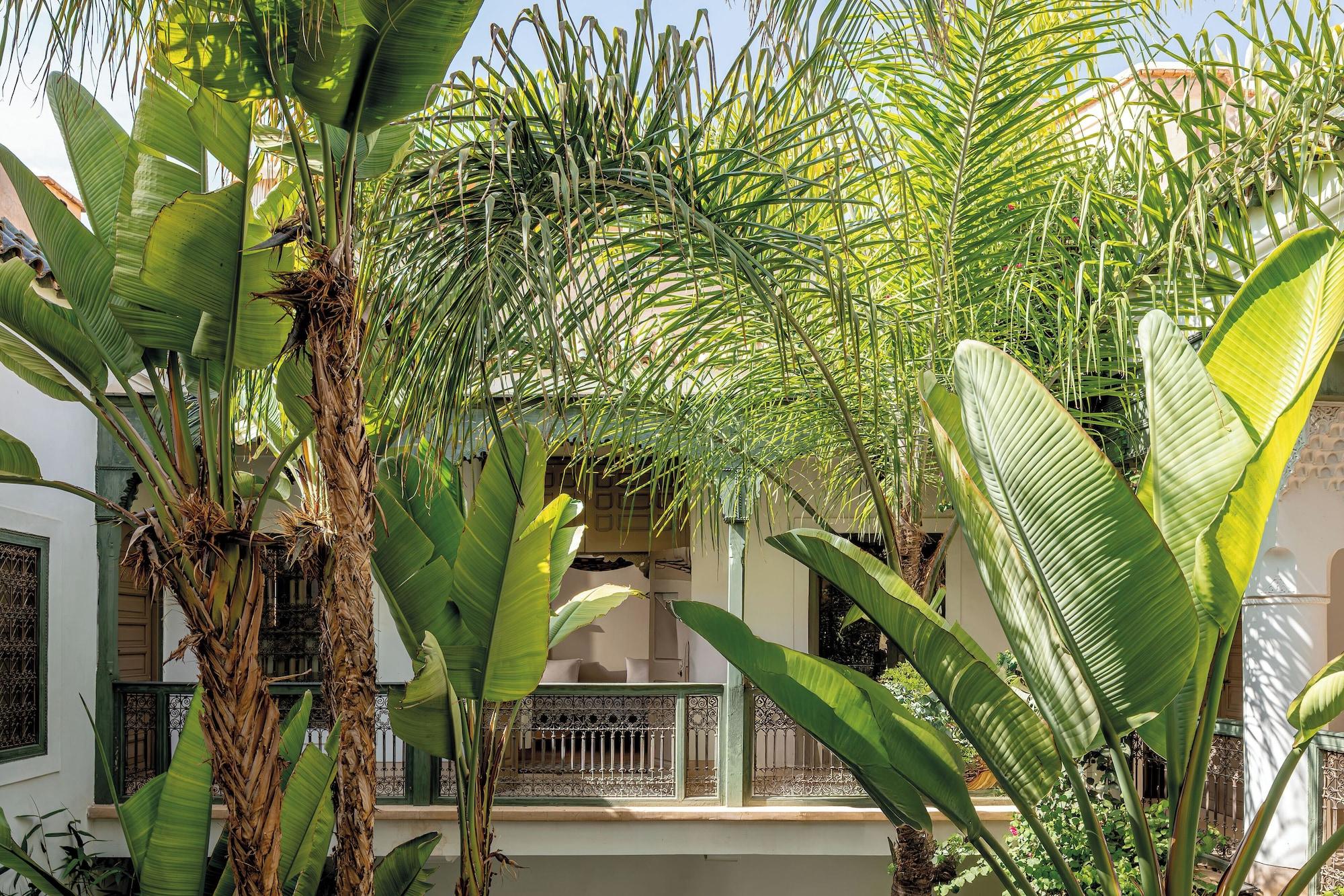 Riad Jaaneman by null