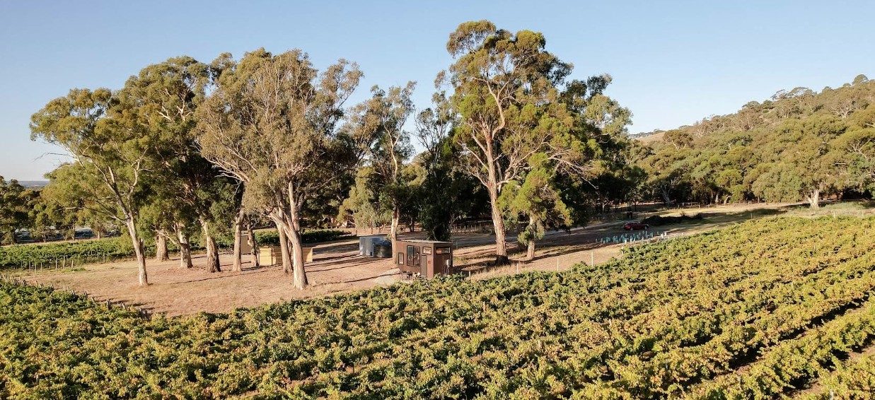 Cabn Mclaren Vale