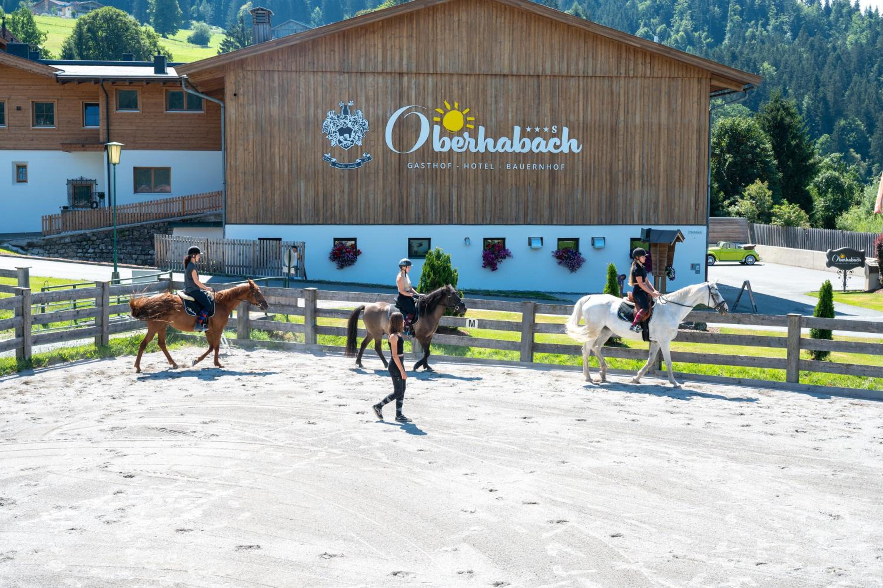 Erlebnisgut Reiterhof Oberhabach