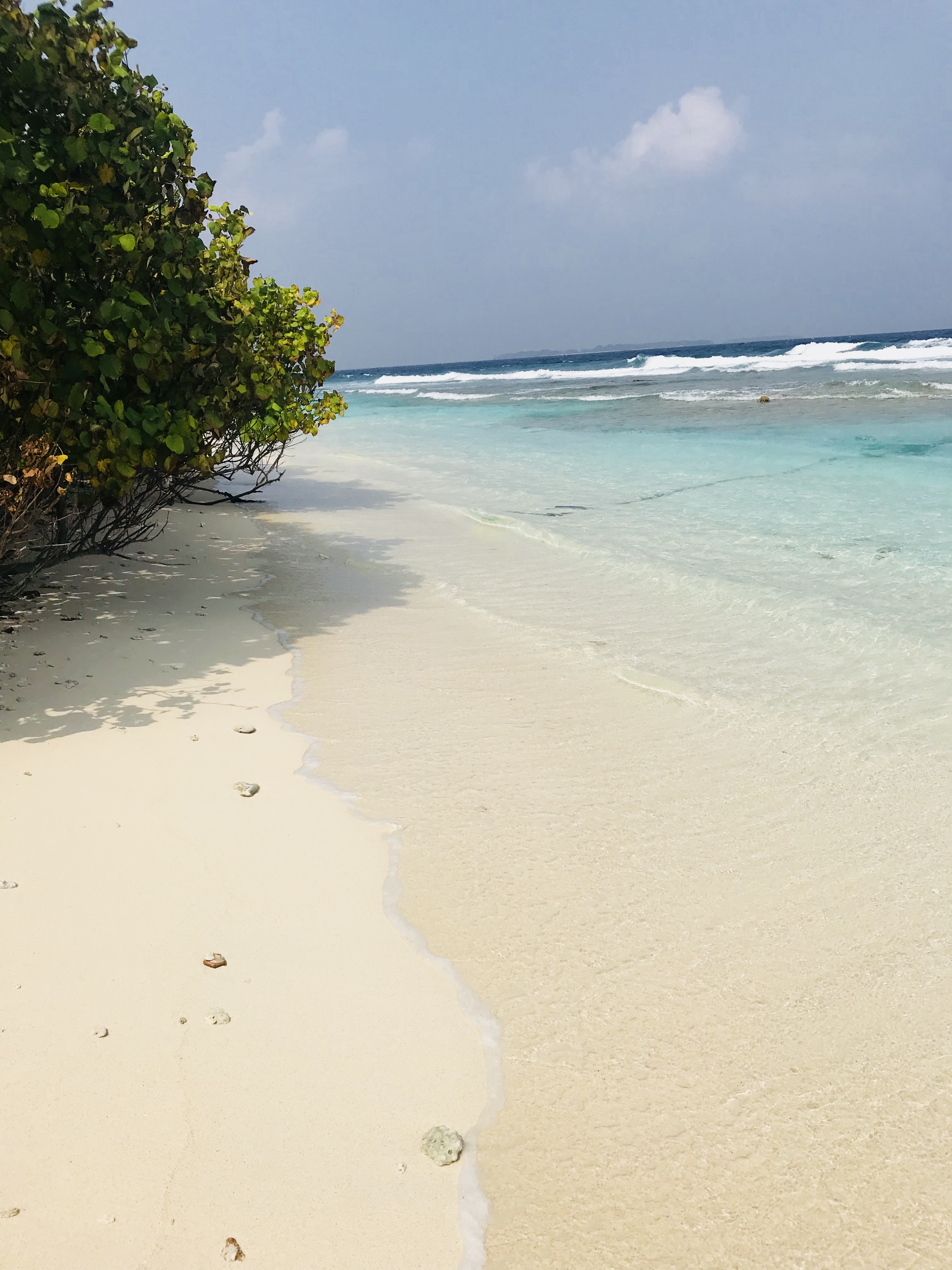 Bon Abri maldives - Bild 4