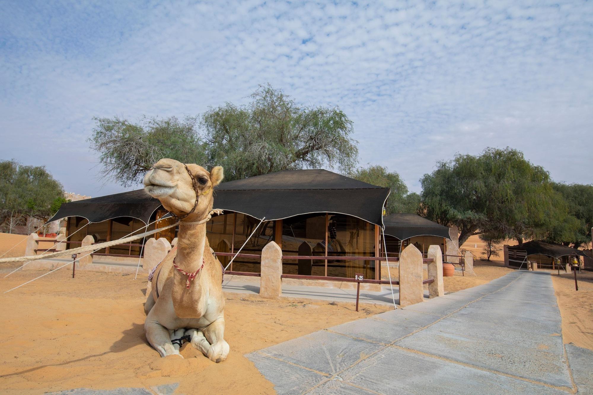 Thousand Nights Camp