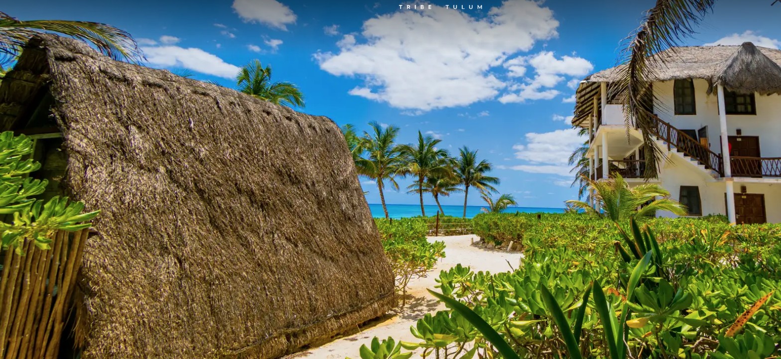 Mia Tulum Tribe- Adults Only