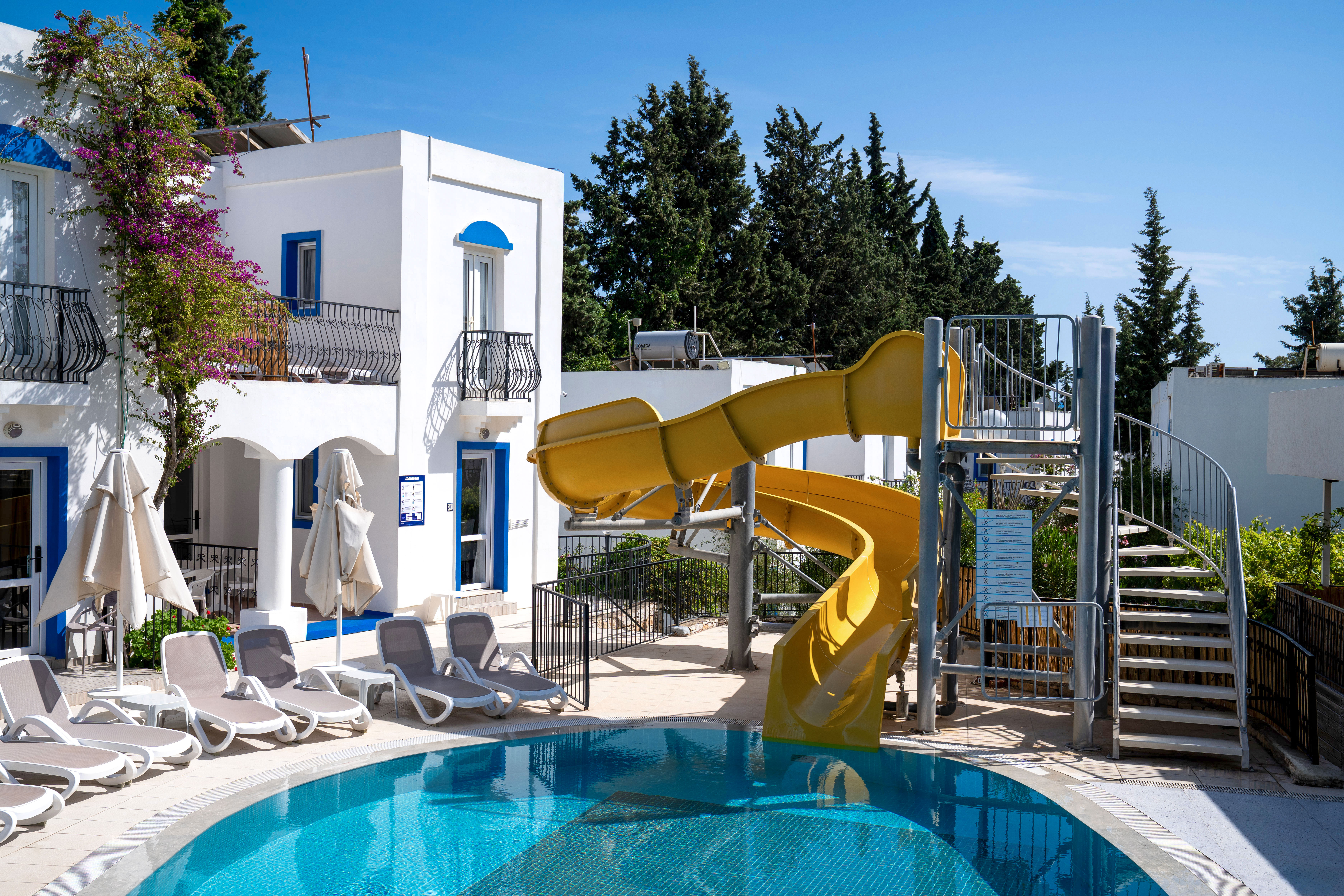 PALOMA FAMILY CLUB - Poză