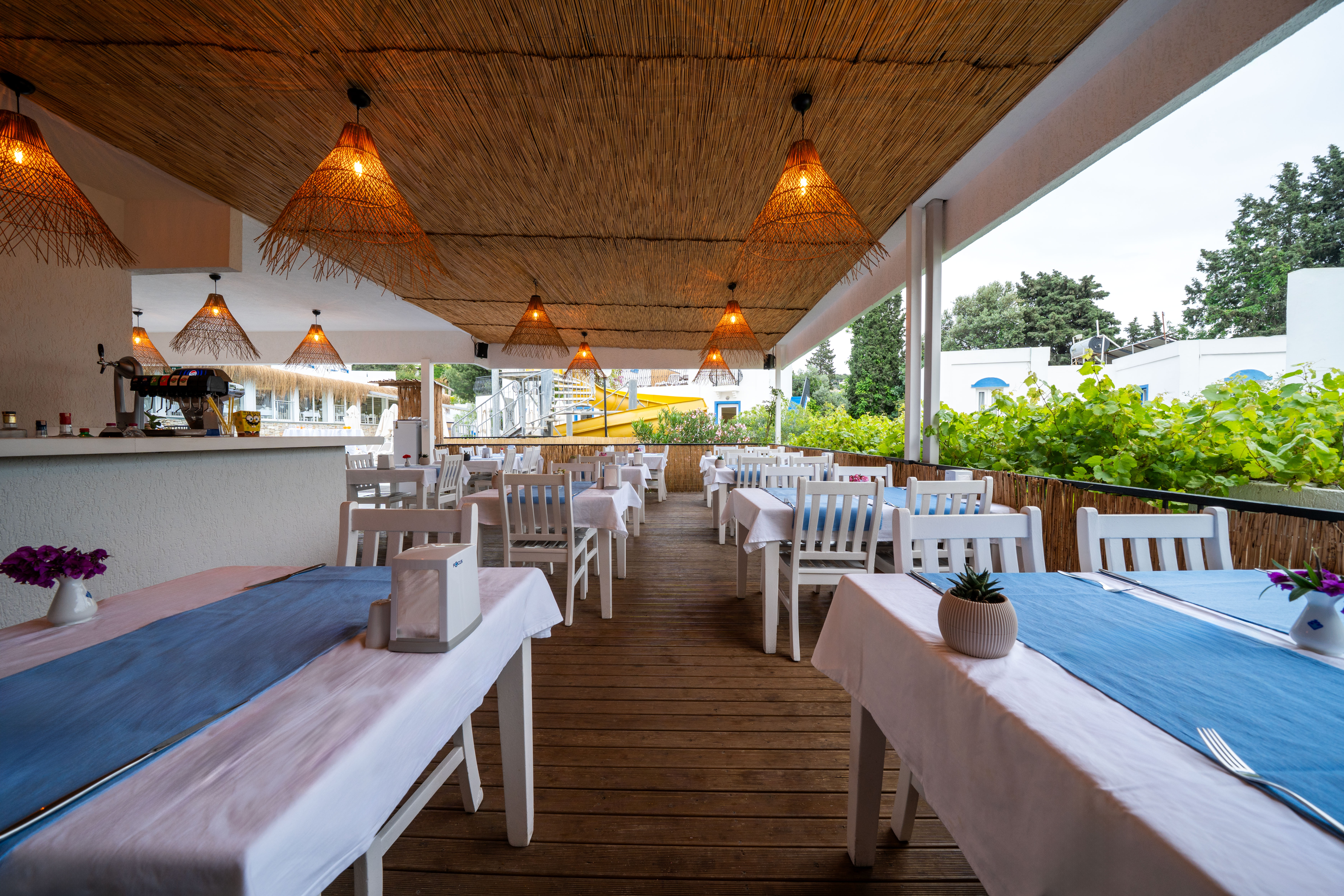 PALOMA FAMILY CLUB - Poză