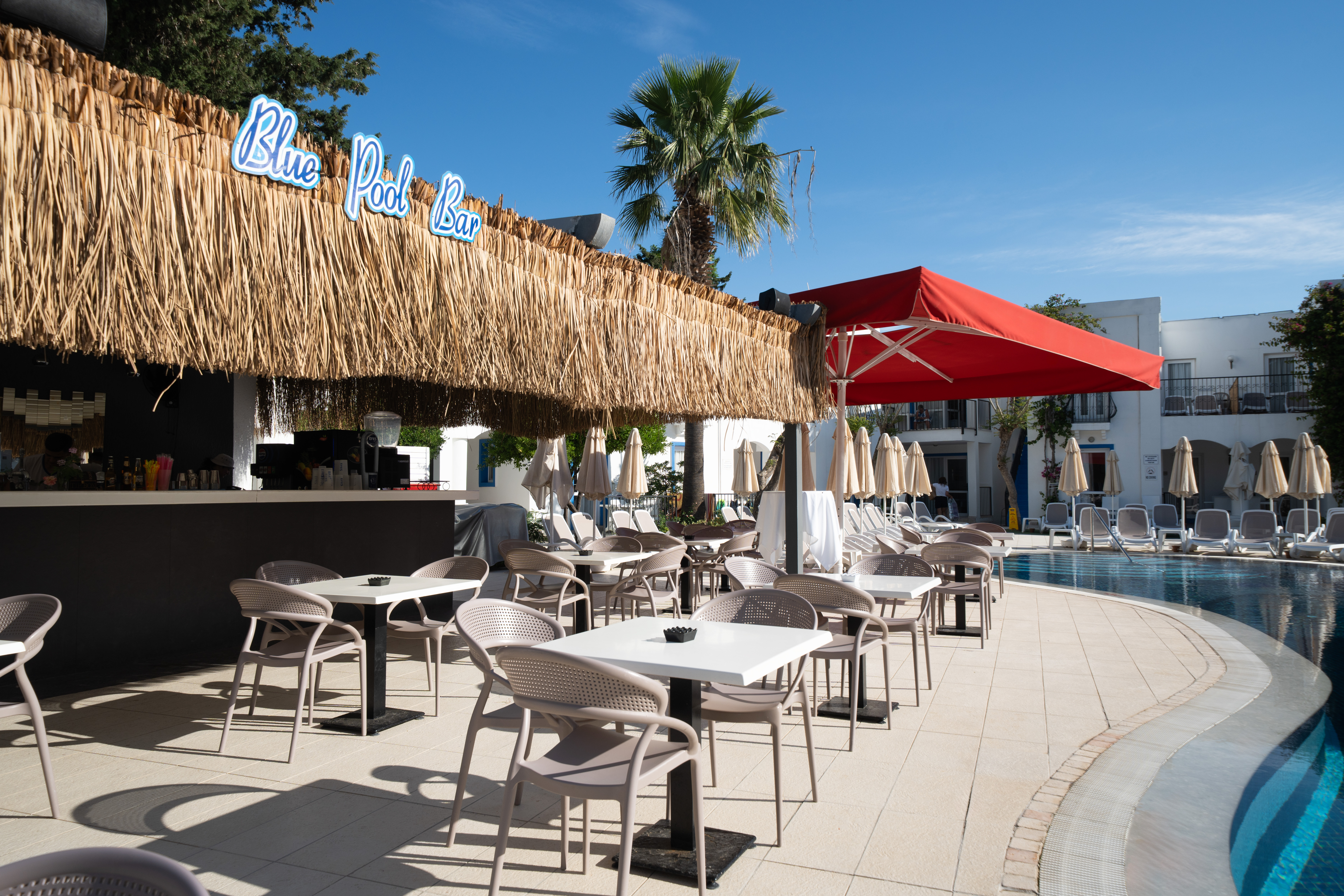 PALOMA FAMILY CLUB - Poză