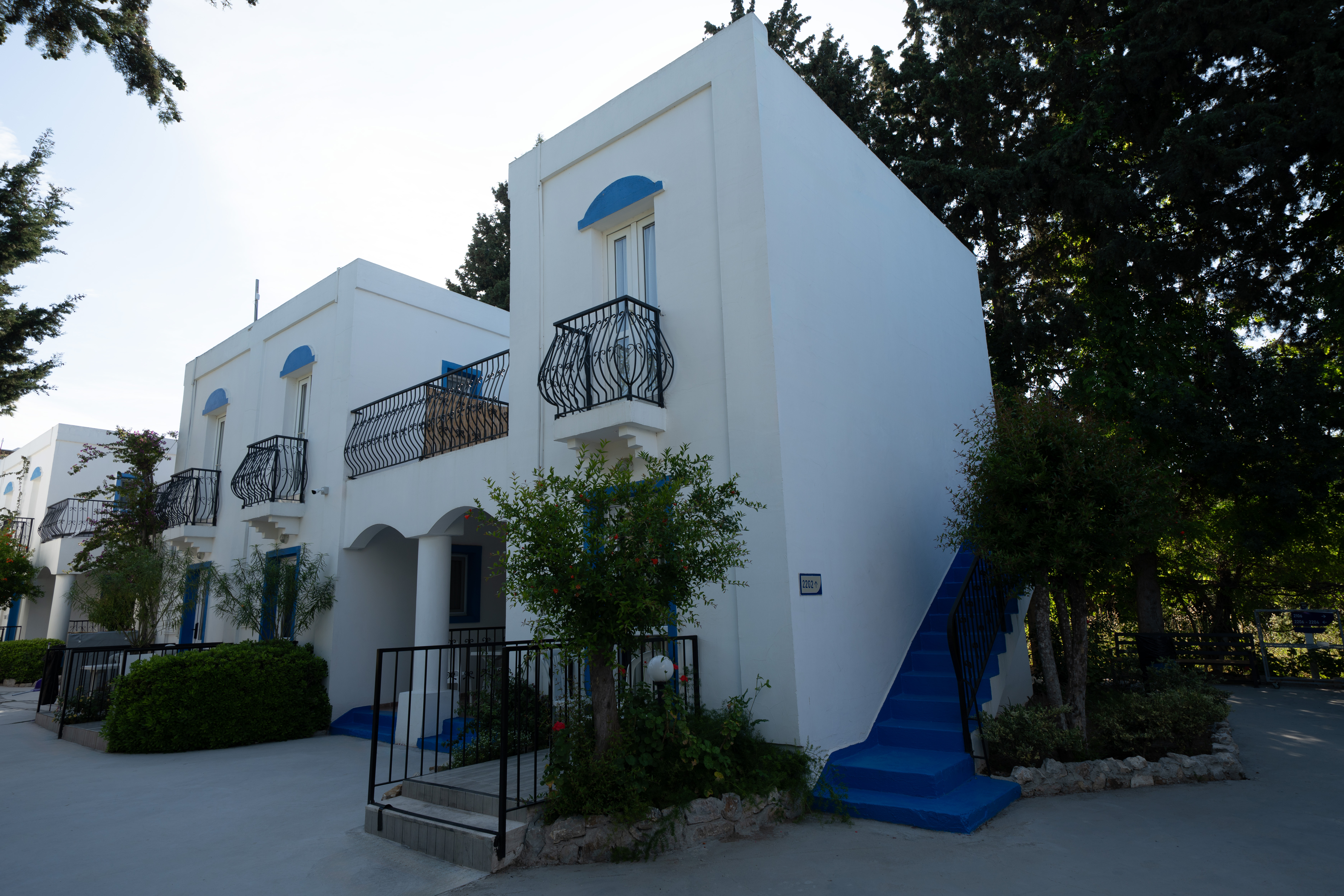 PALOMA FAMILY CLUB - Poză