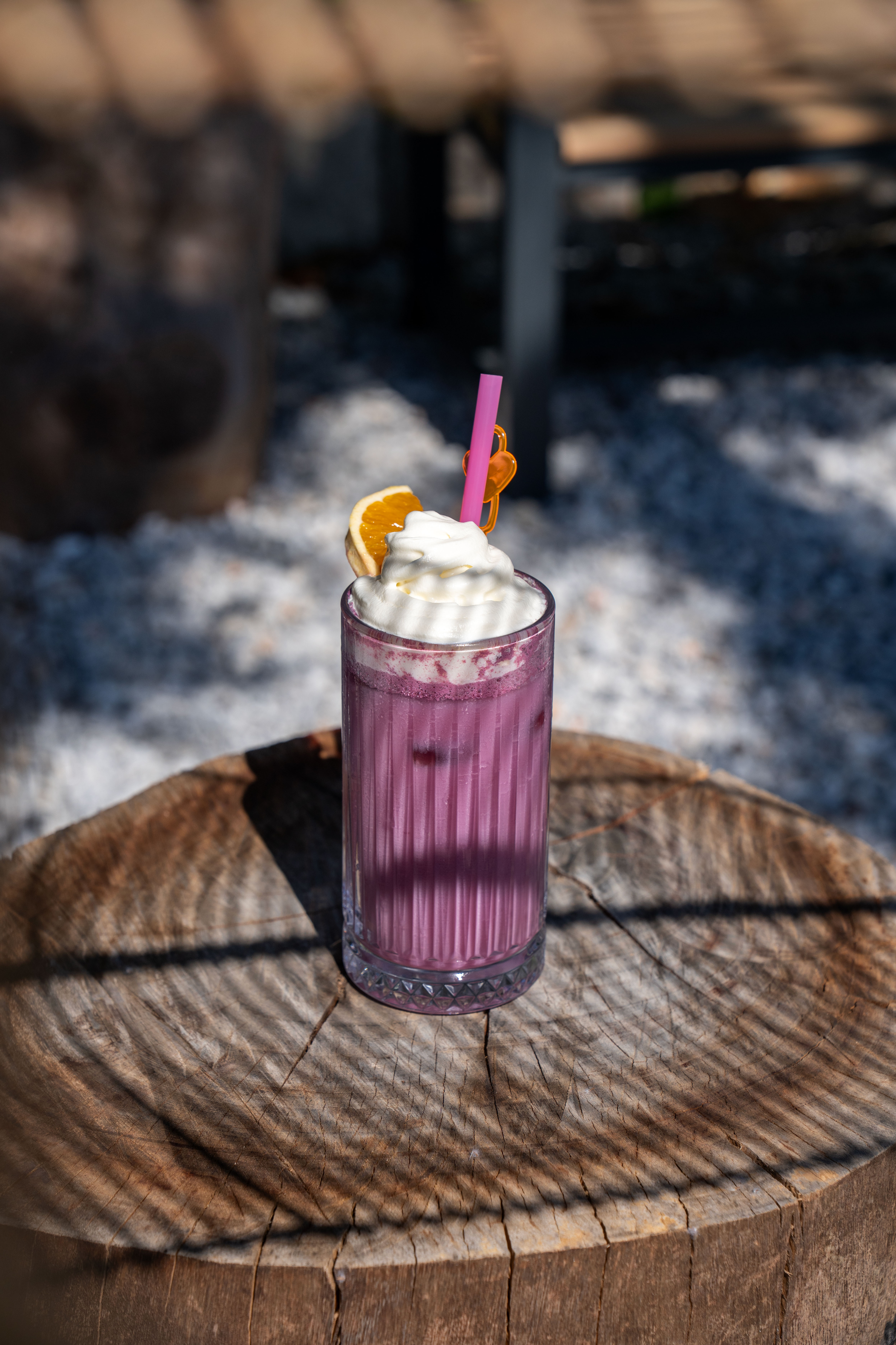 PALOMA FAMILY CLUB - Poză