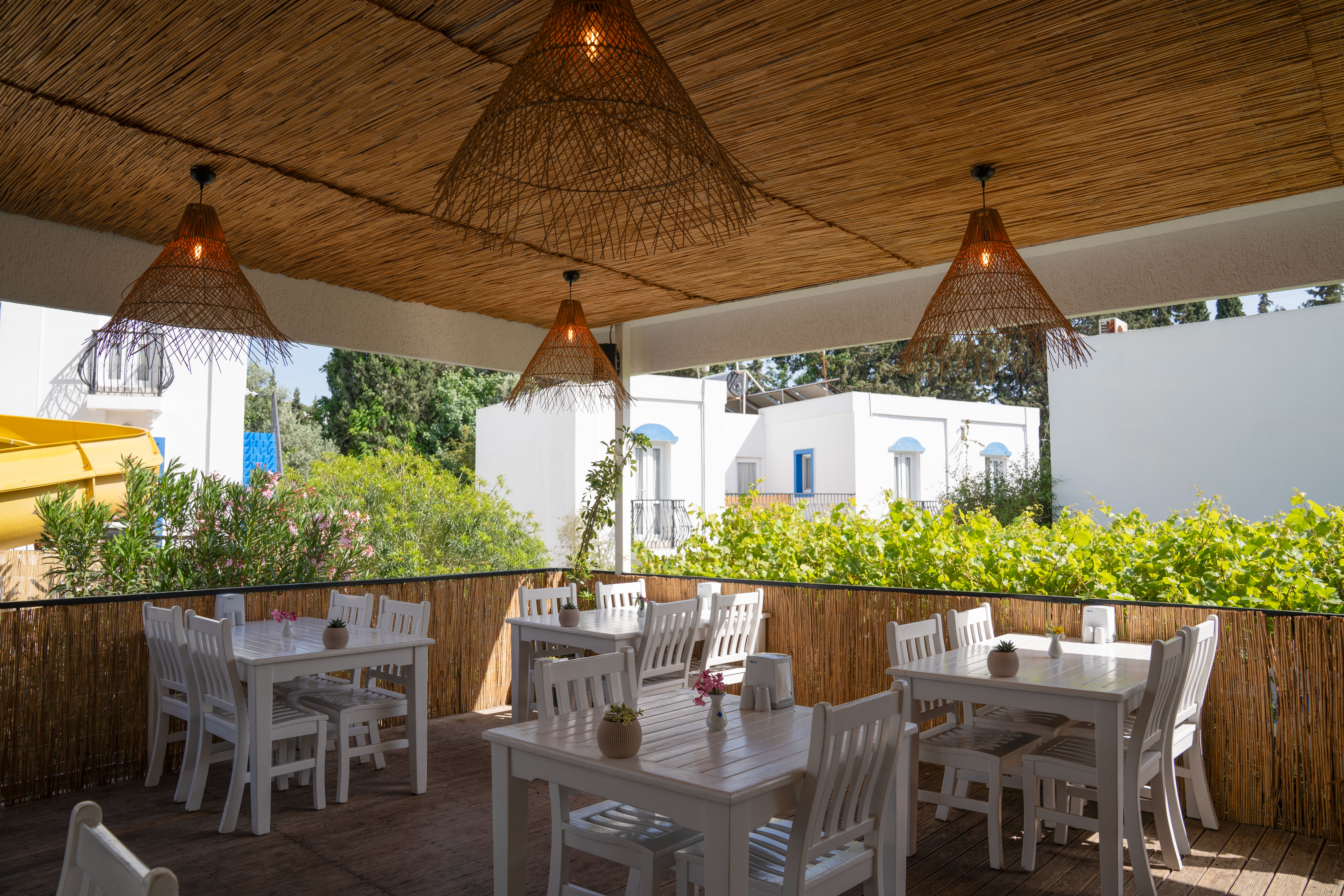 PALOMA FAMILY CLUB - Poză