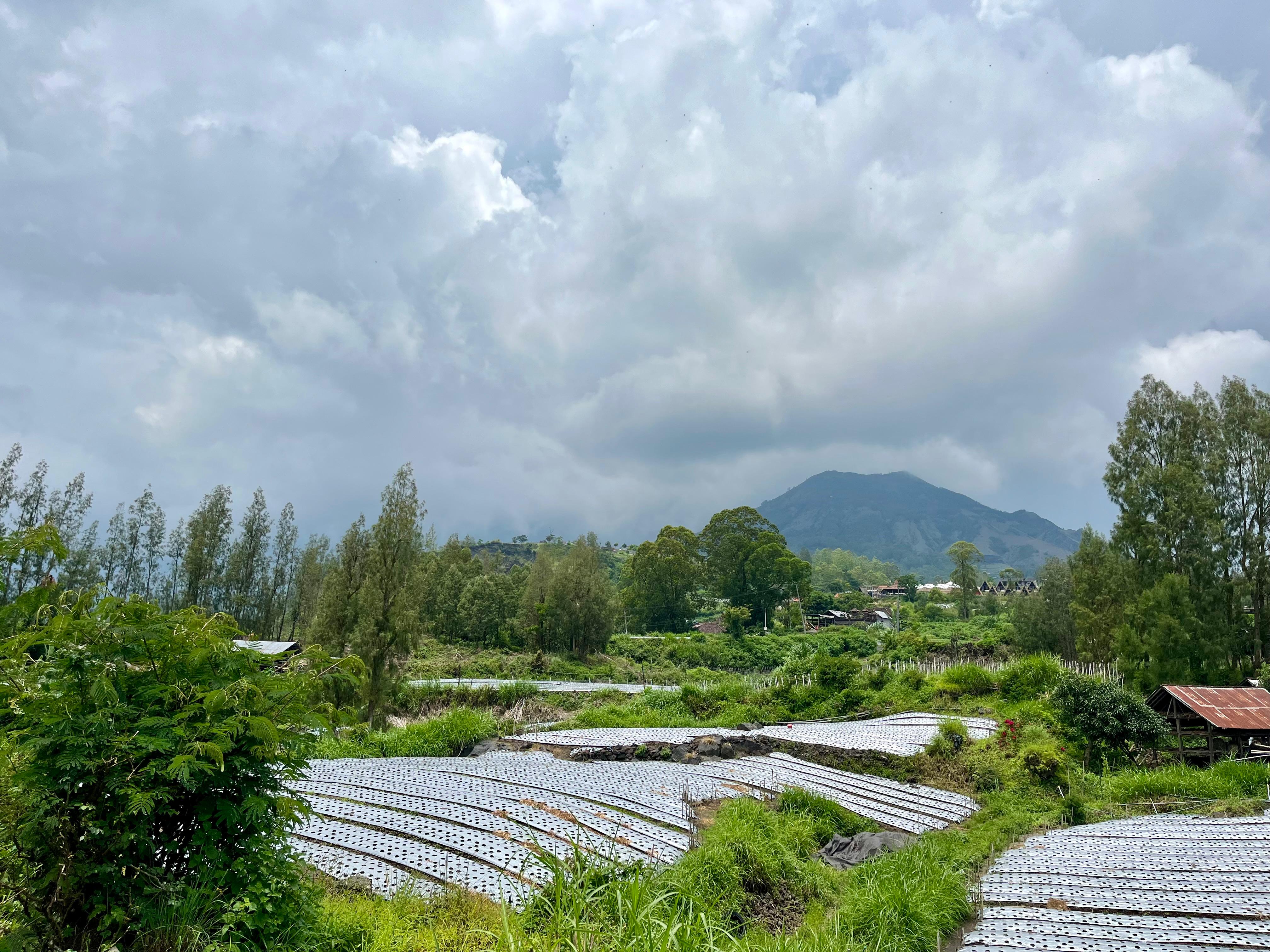 Batur Sunsun Kintamani By Zuzu