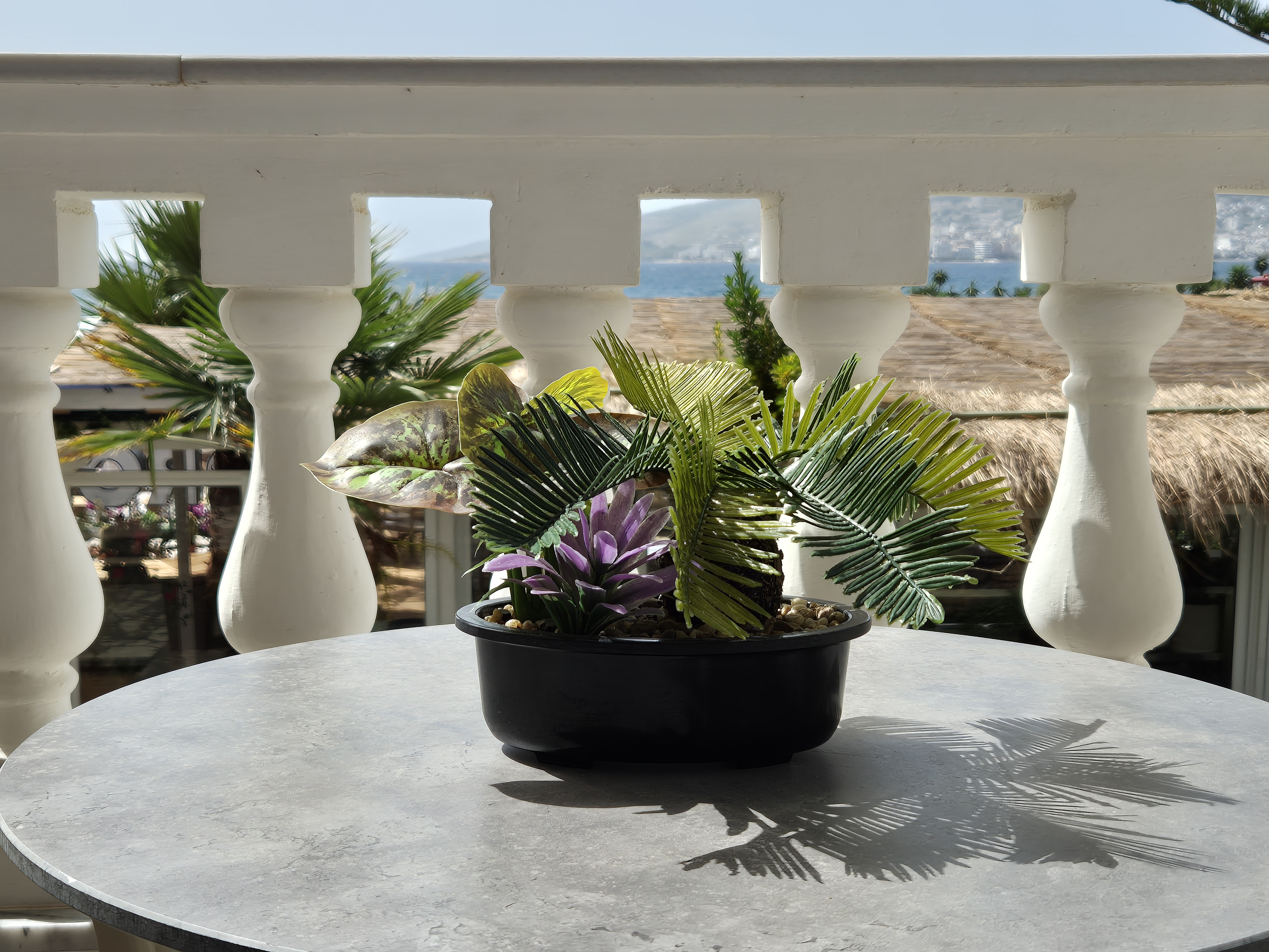 Orchids Hotel