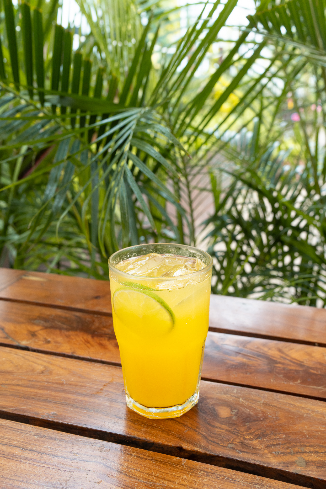 The Yak Lake House by null