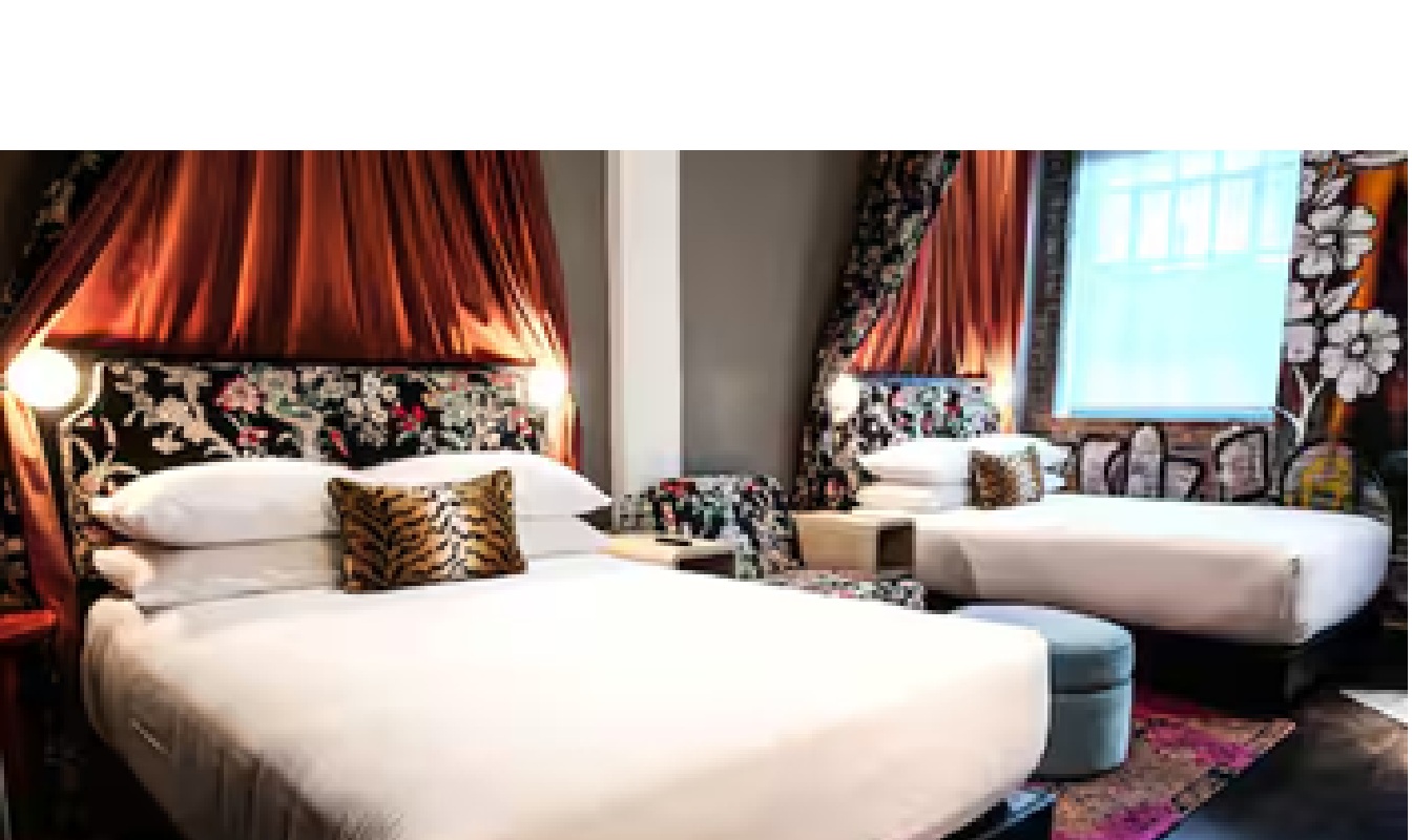 The Radical Asheville, Tapestry Collection by Hilton by null