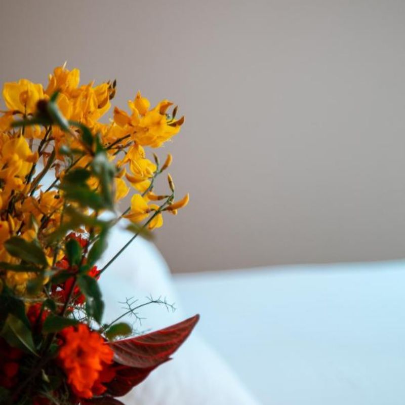 Vila E Bardhe Butique Hotel
