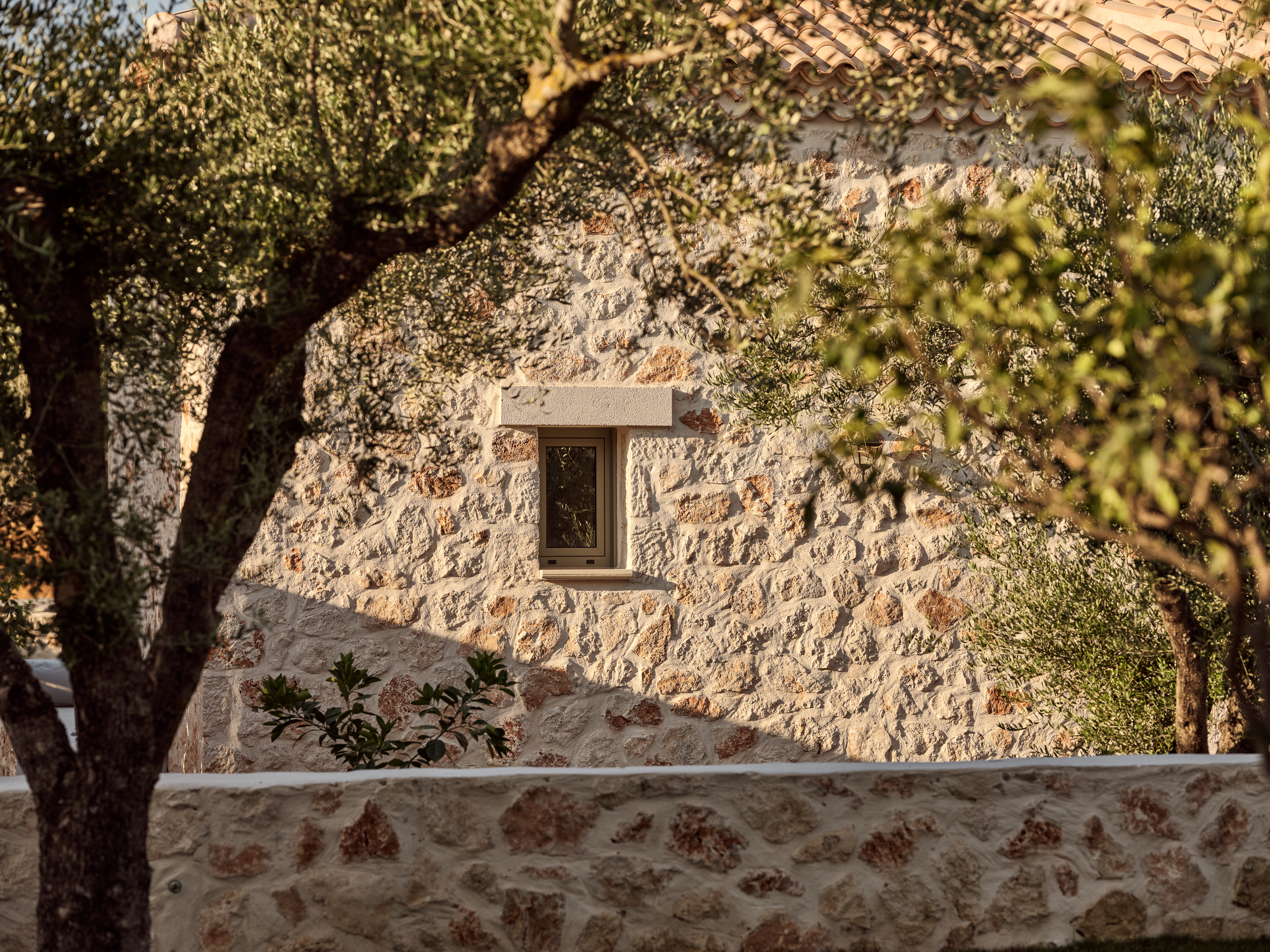 Conte Maris IV - фото