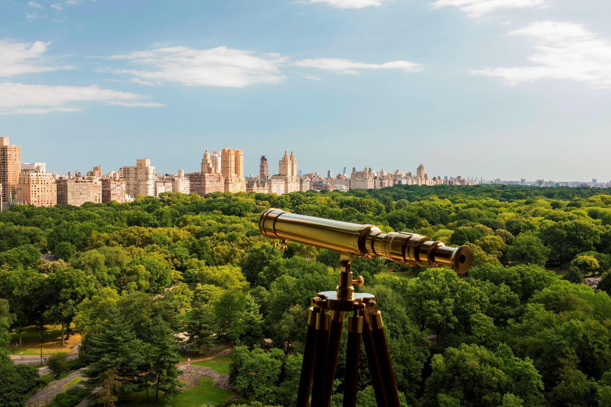 Imagem da galeria de The Ritz-carlton New York, Central Park