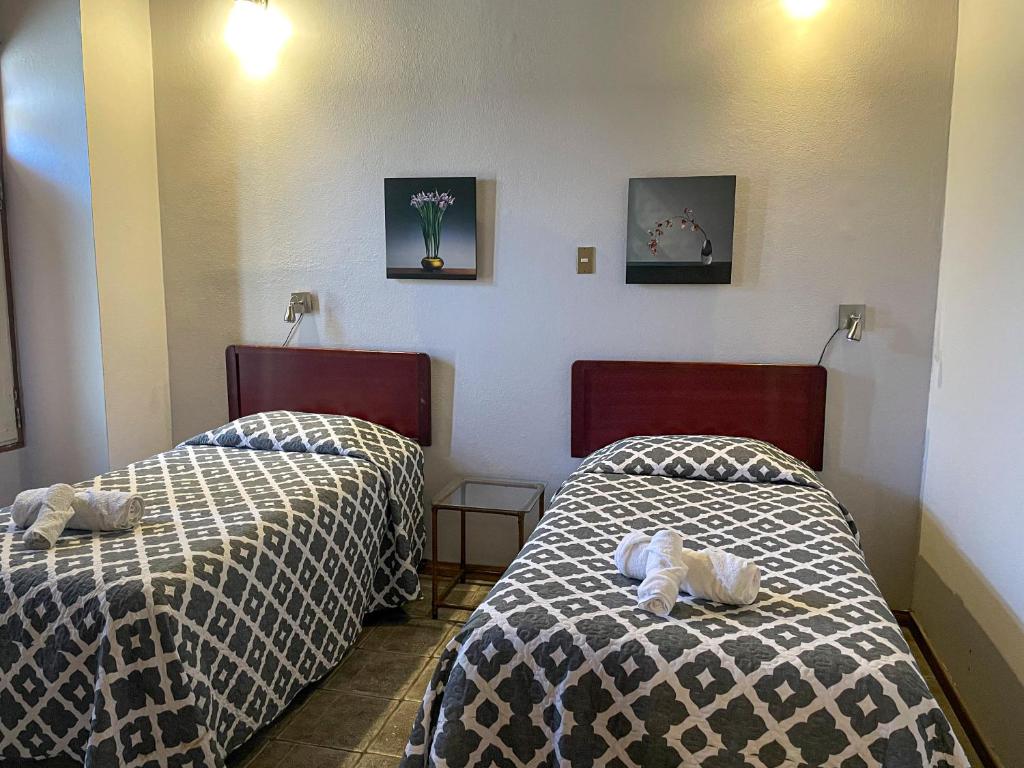 Hotel Ave del Paraiso by null