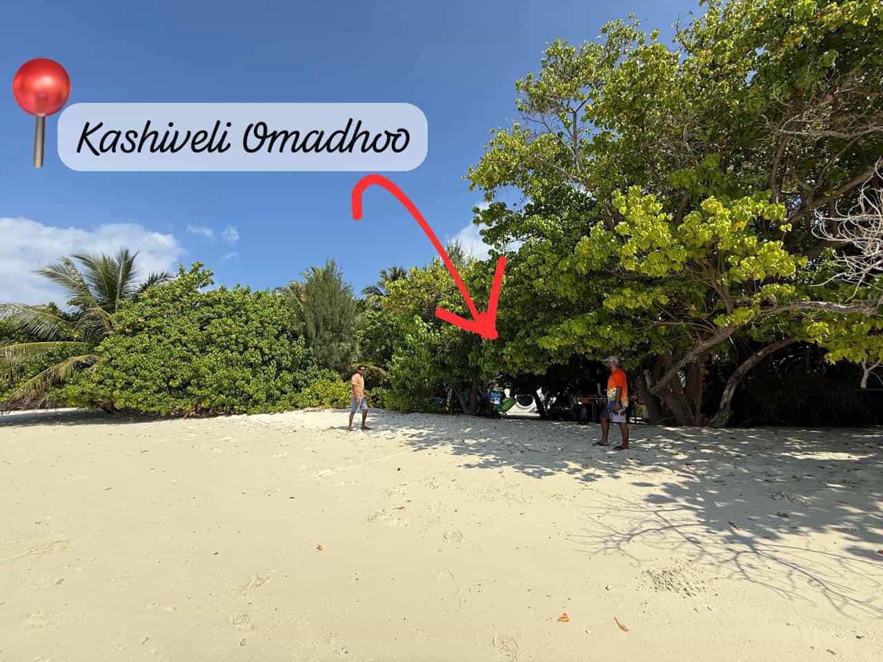 Kashiveli Omadhoo
