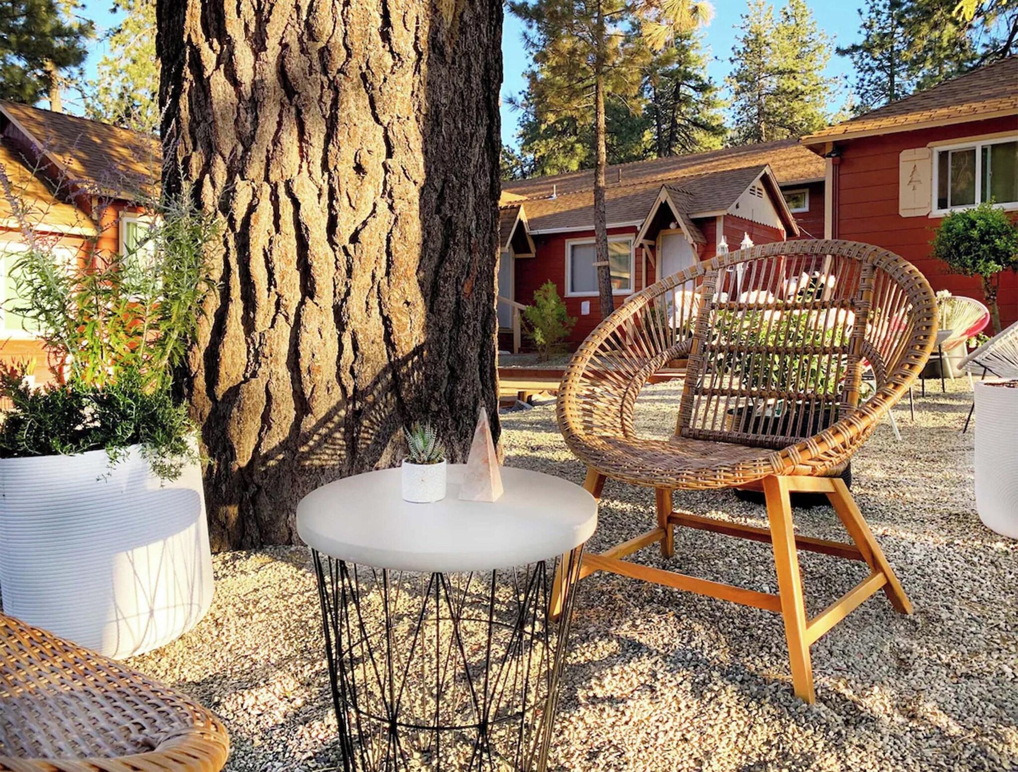 Grand Pine Cabins