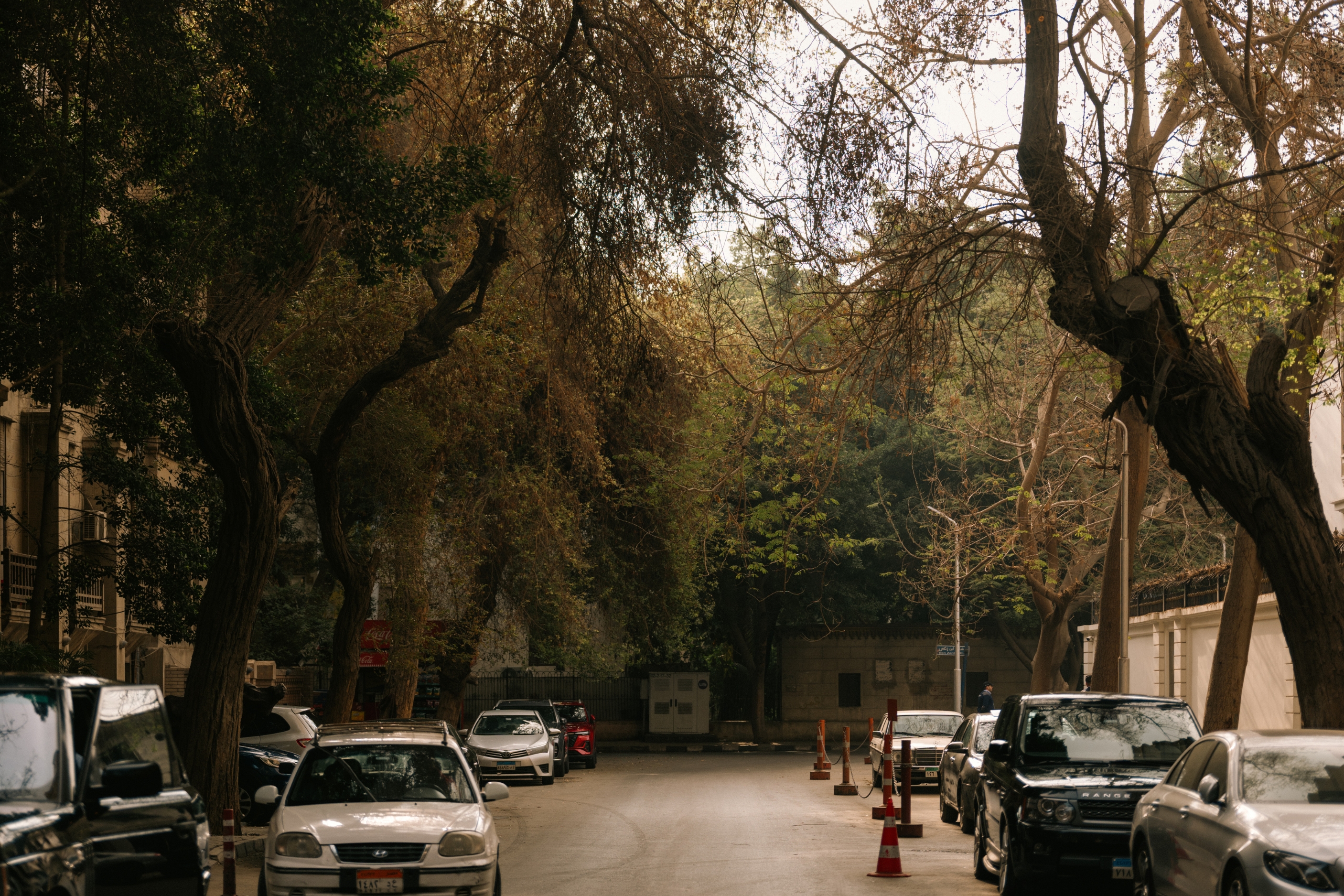 Brassbell Zamalek Diplomatic Zone Near Marriott