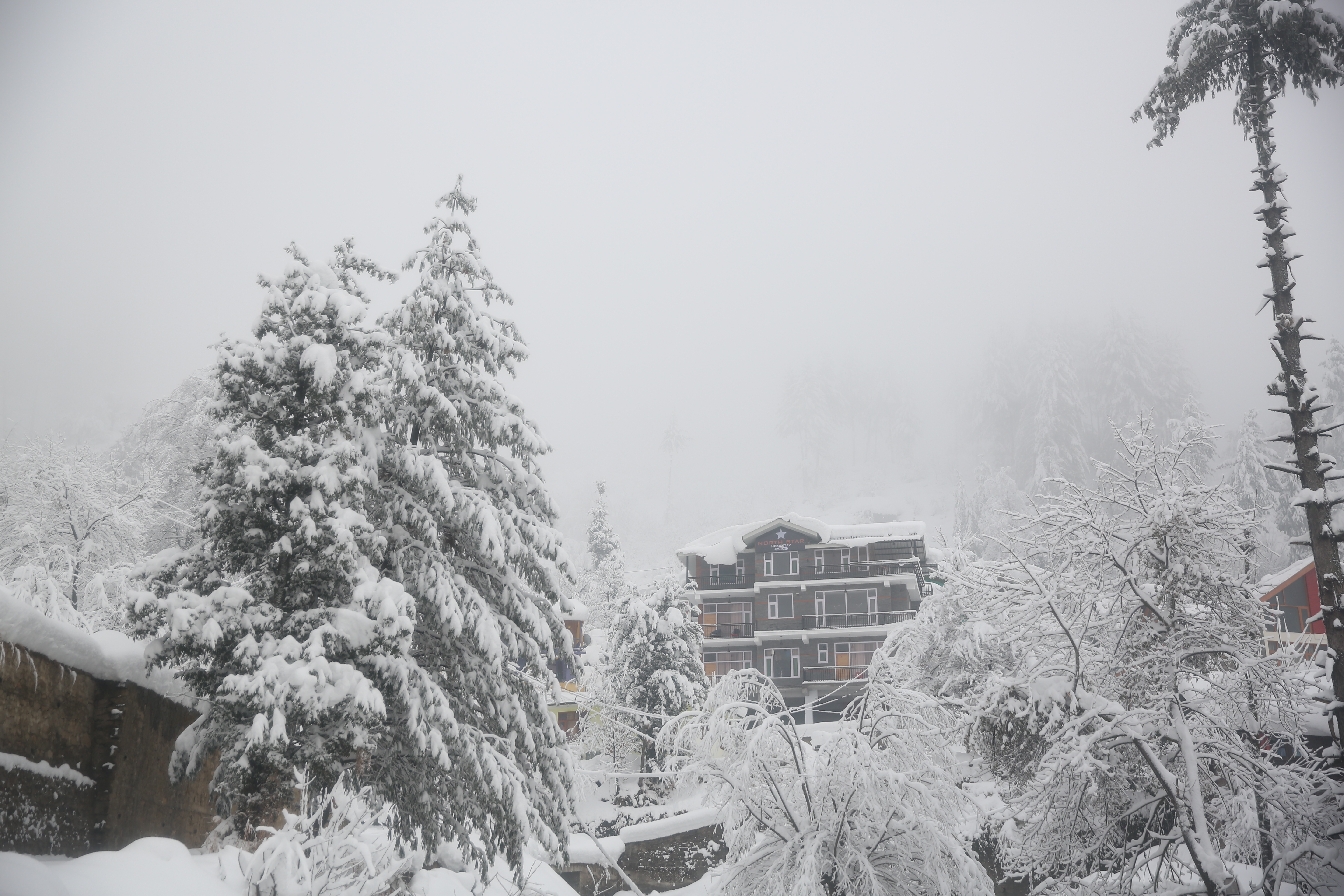 North Star Manali