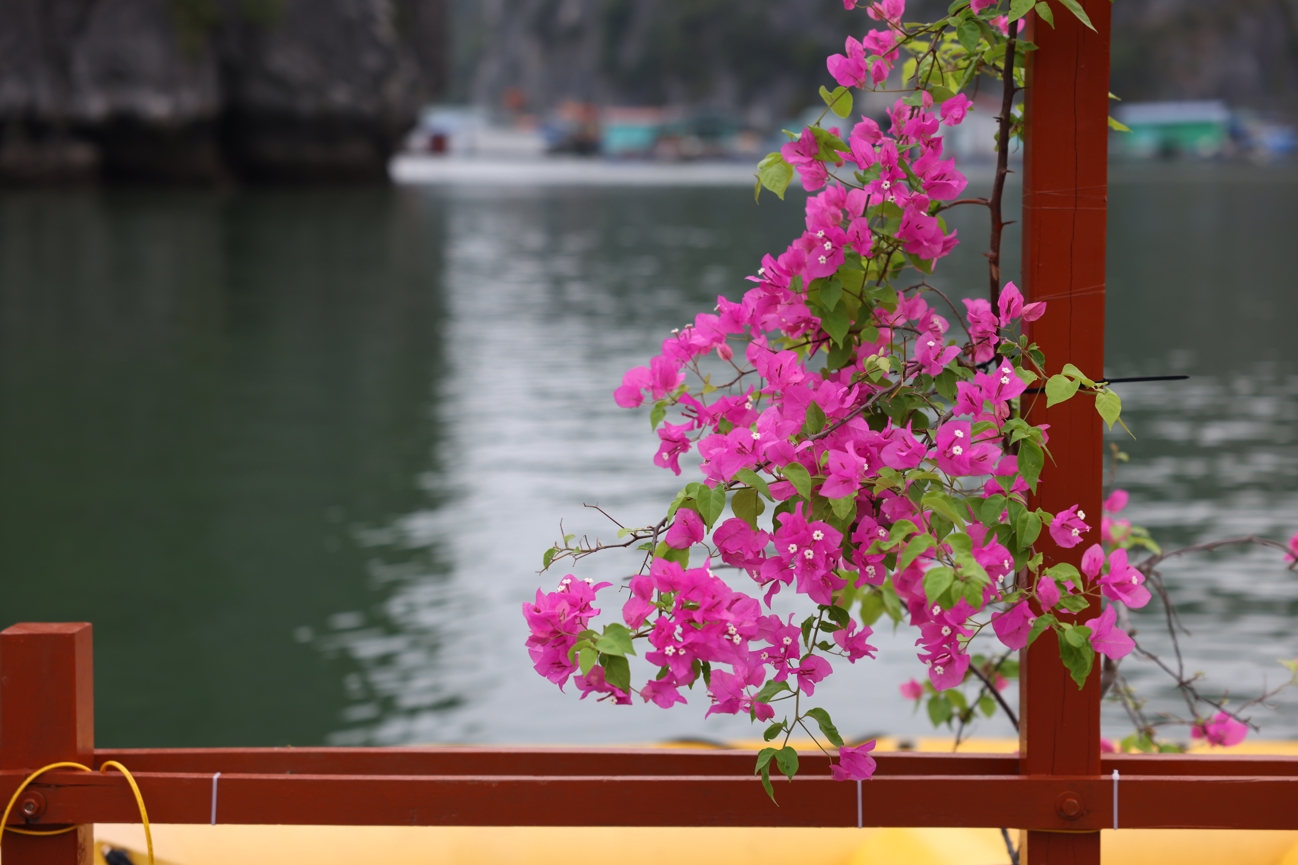 Cat Ba Fishing Village Bay House