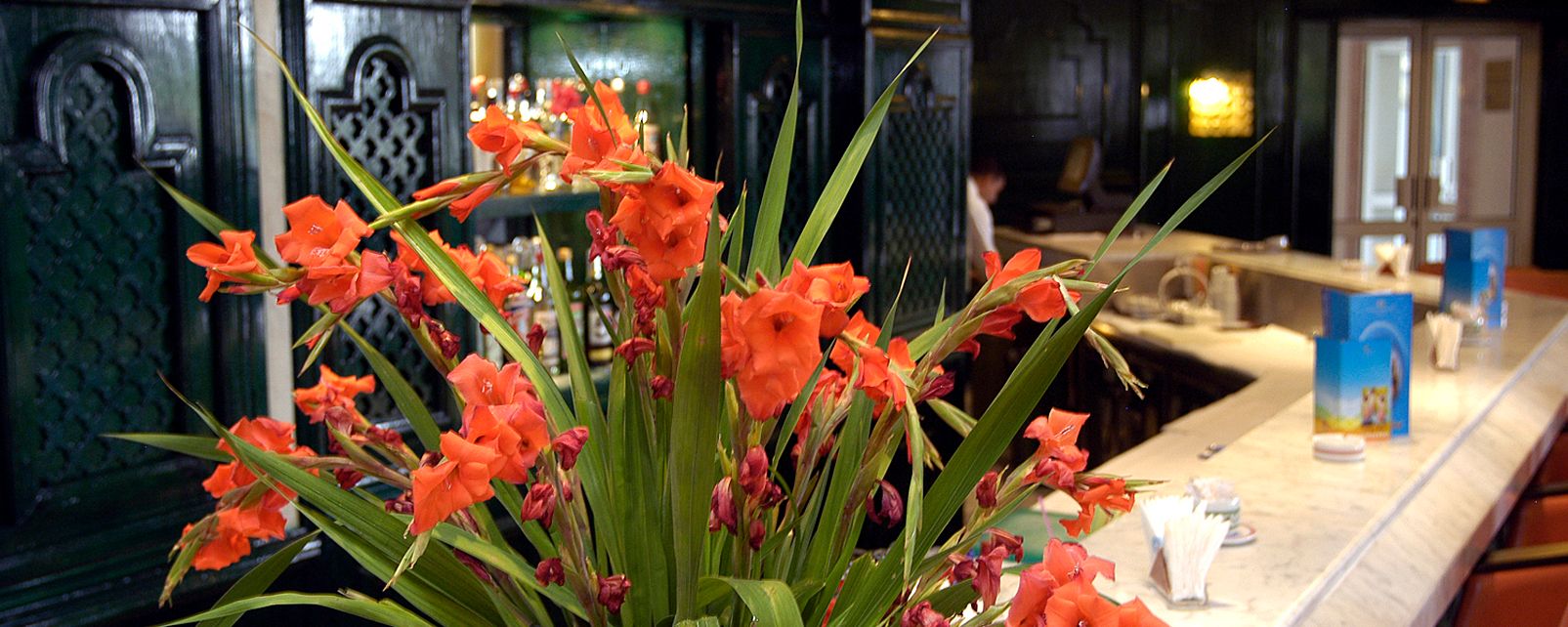 Royal Azur Thalasso Golf - attēls