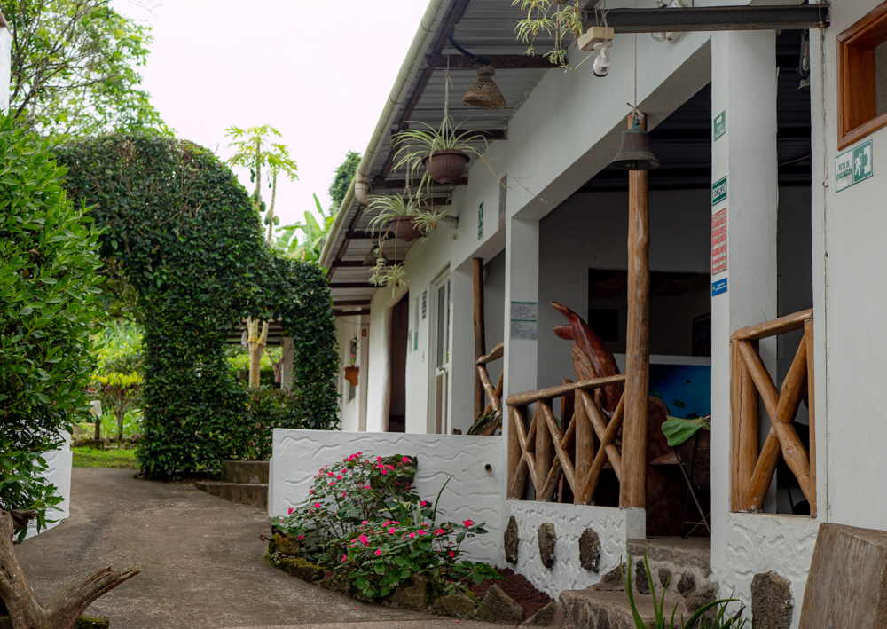 Hotel Twin Galapagos