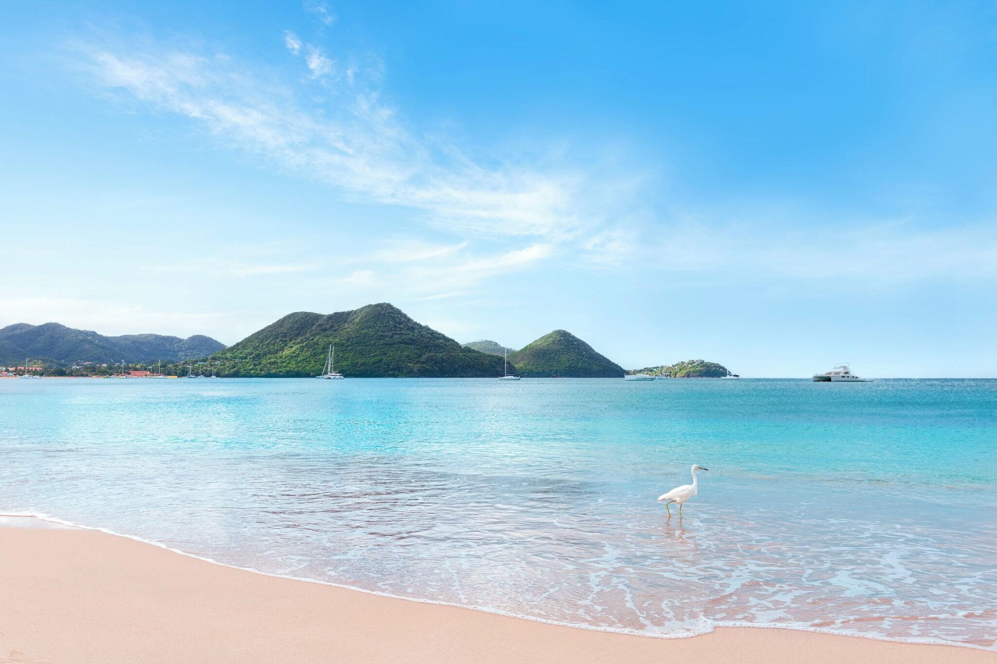 The Landings Resort and Spa, St. Lucia by null