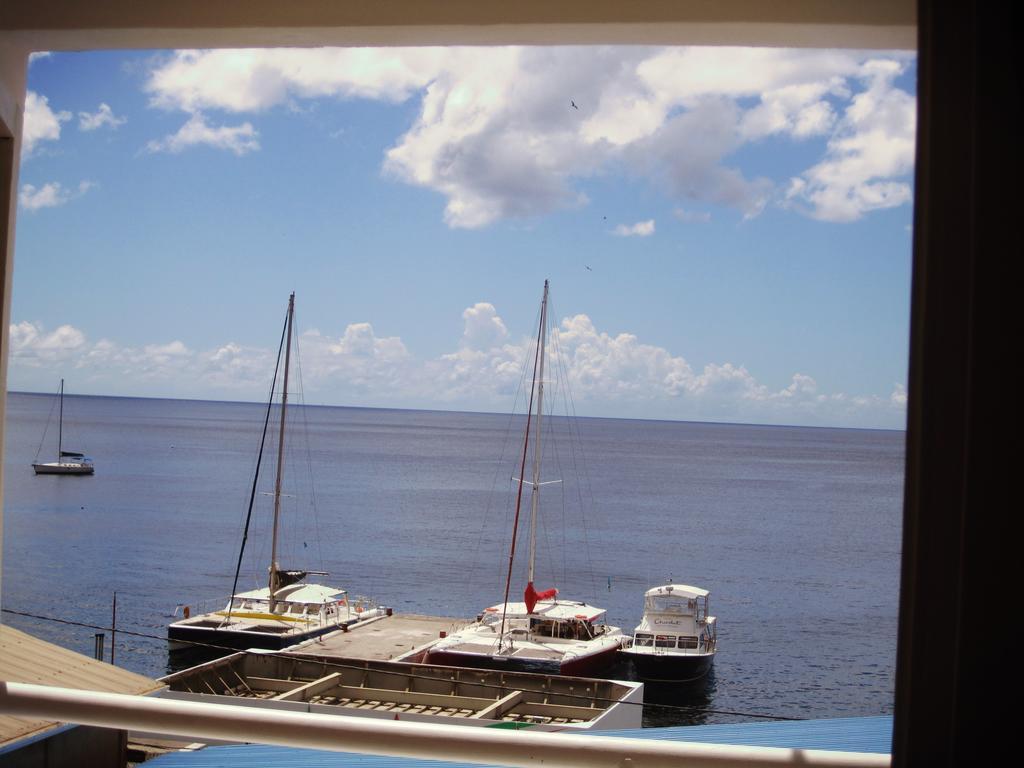 The Downtown by null