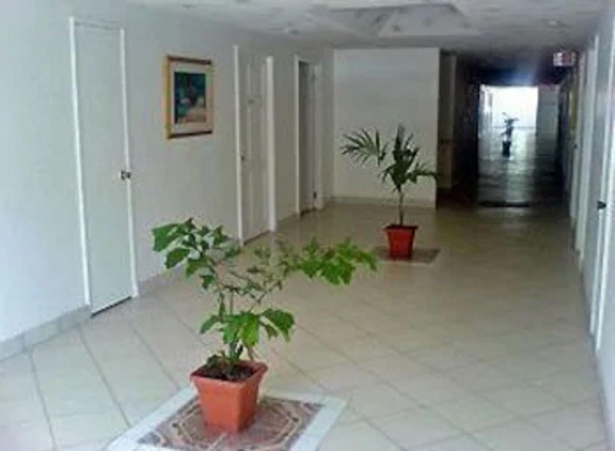 The Downtown by null