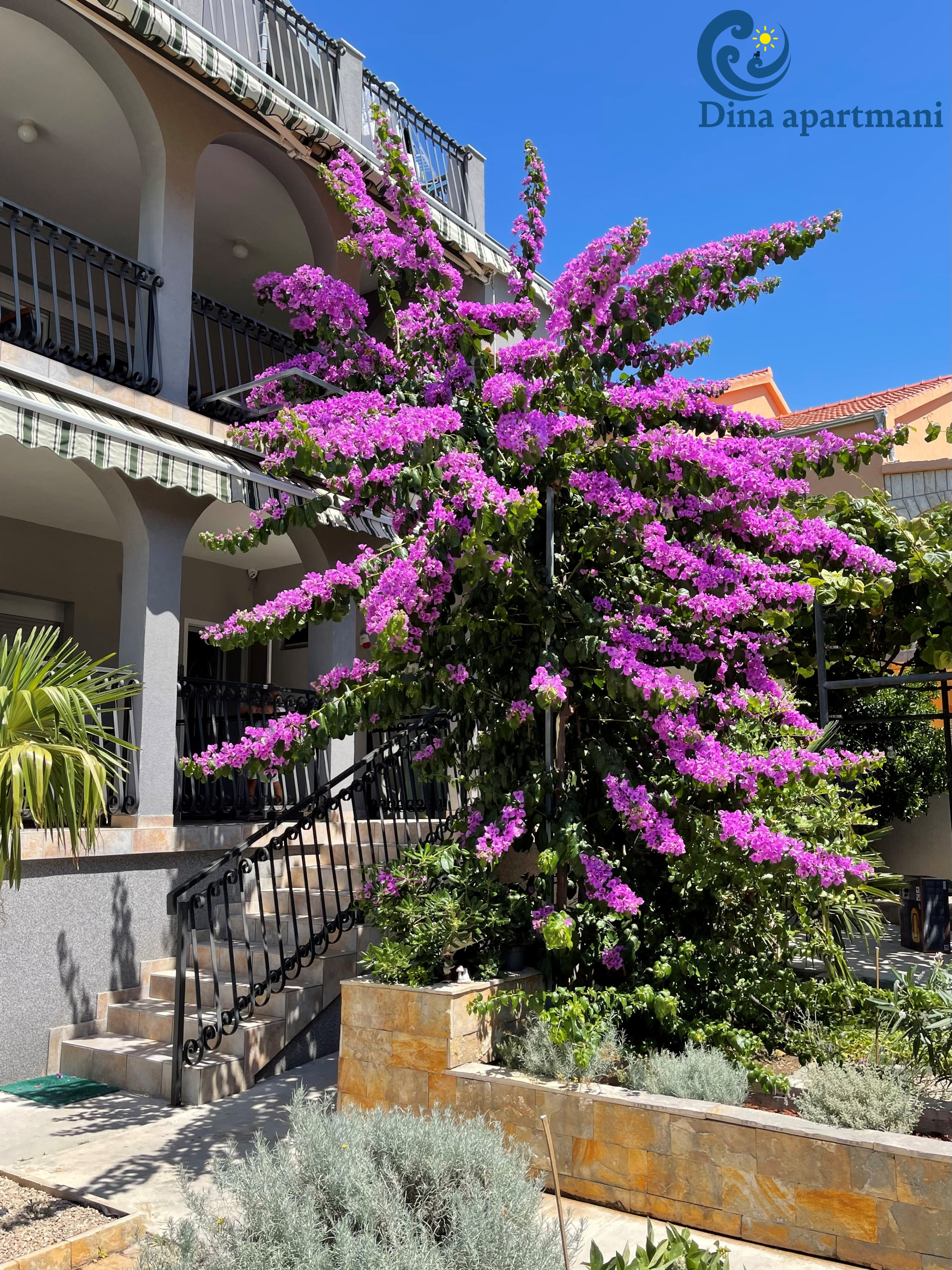 Dina Apartmani