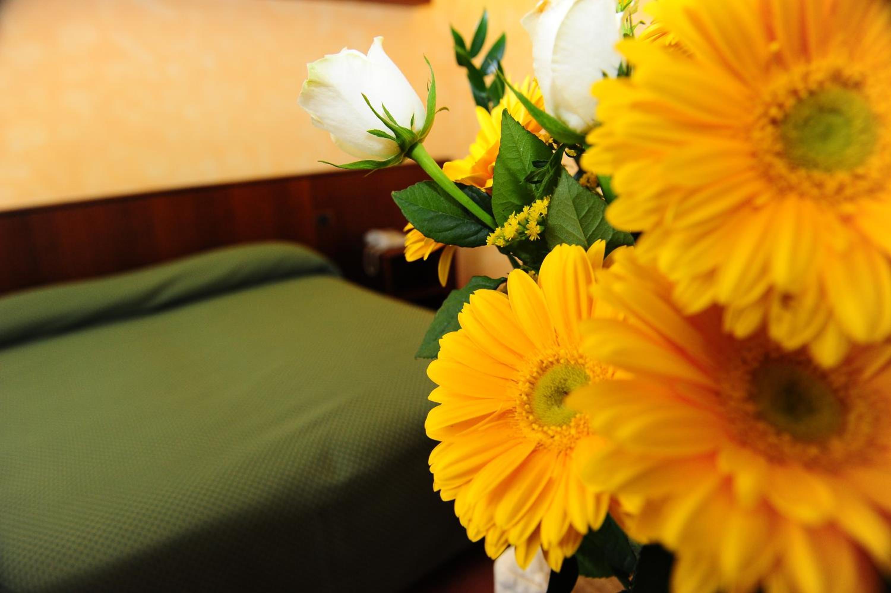 Il Carrettino Country Hotel