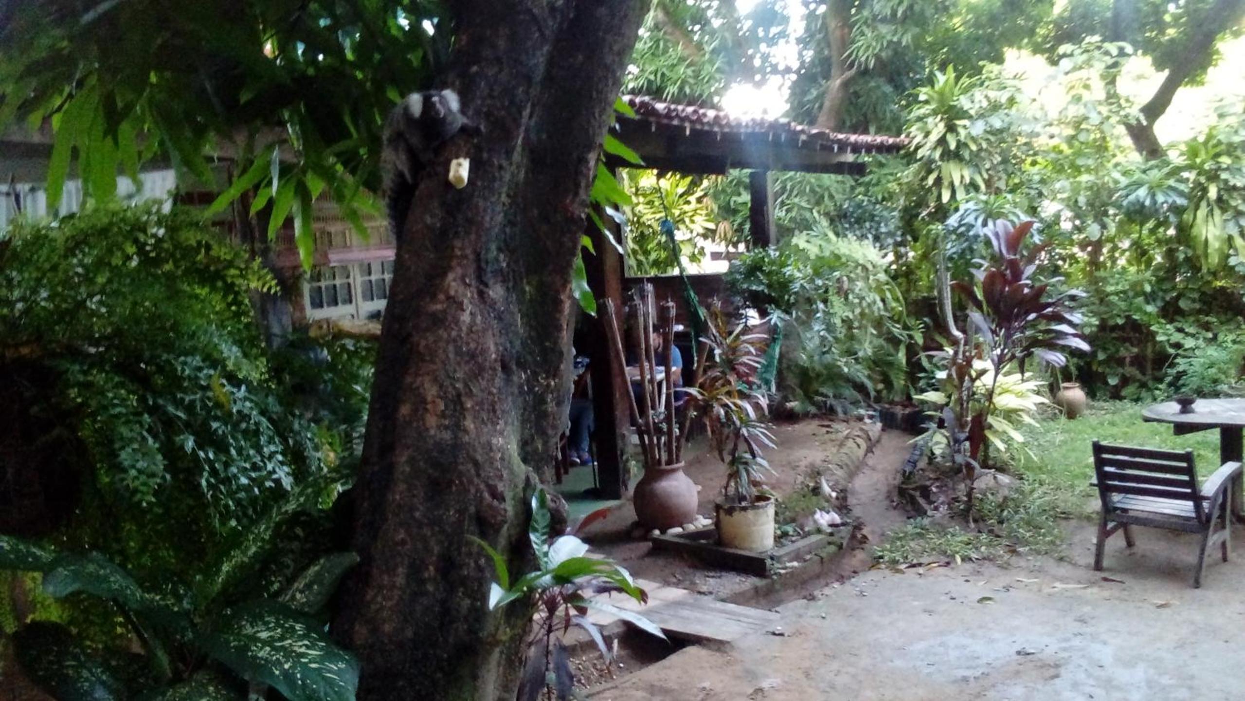 General view