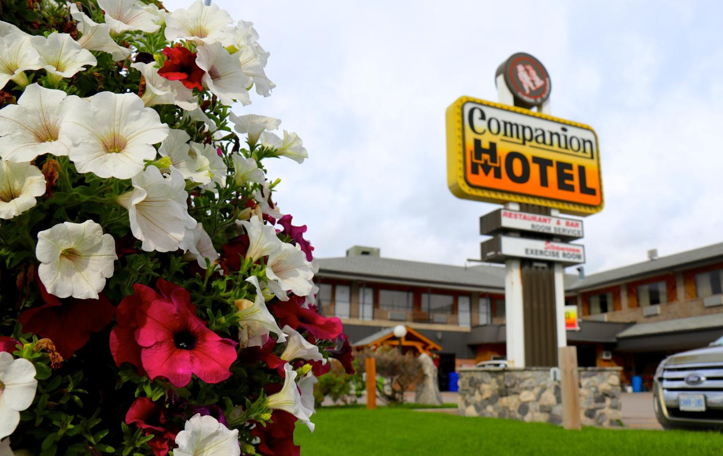 General view 2, Companion Hotel Motel, Cochrane