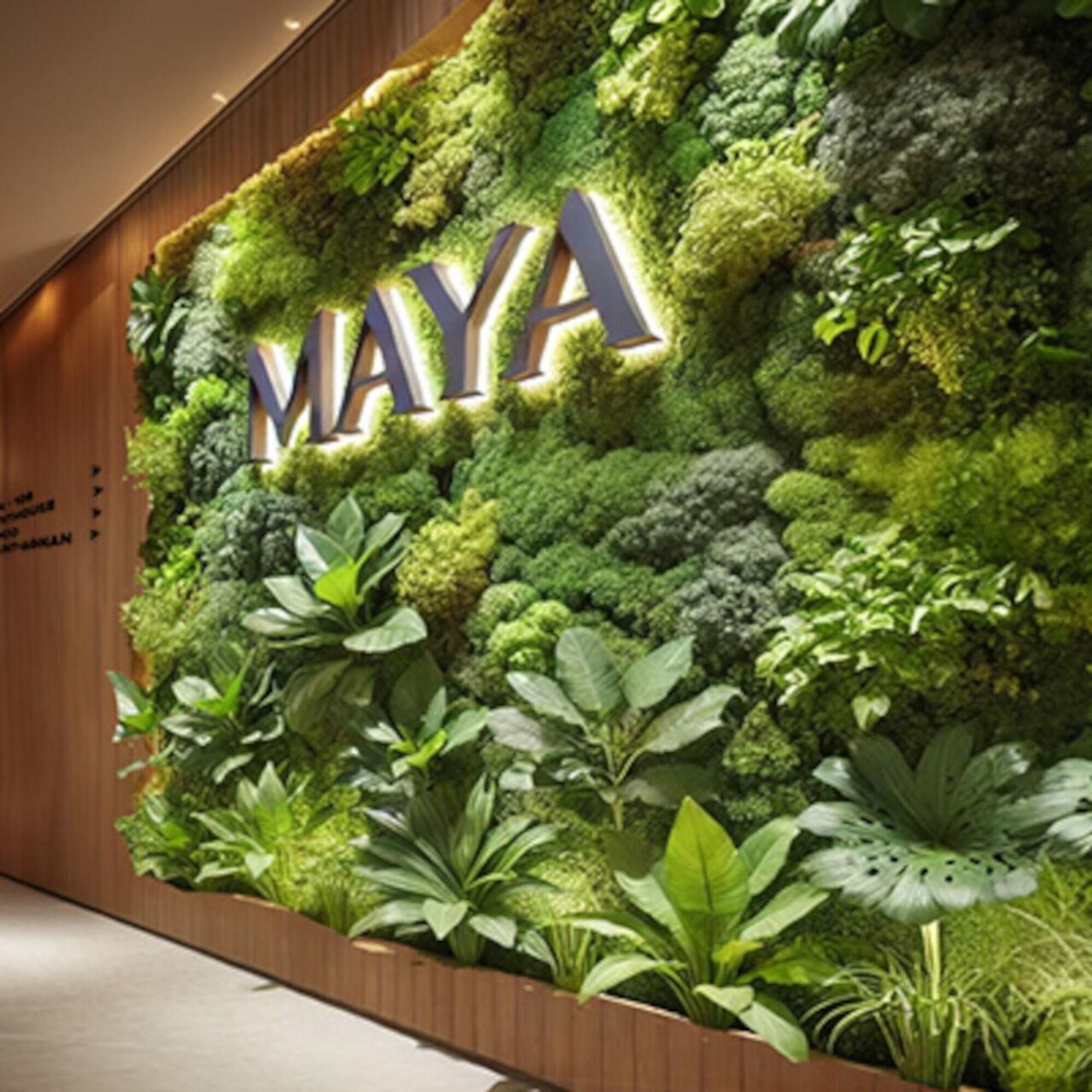 Maya Appartements & Suites