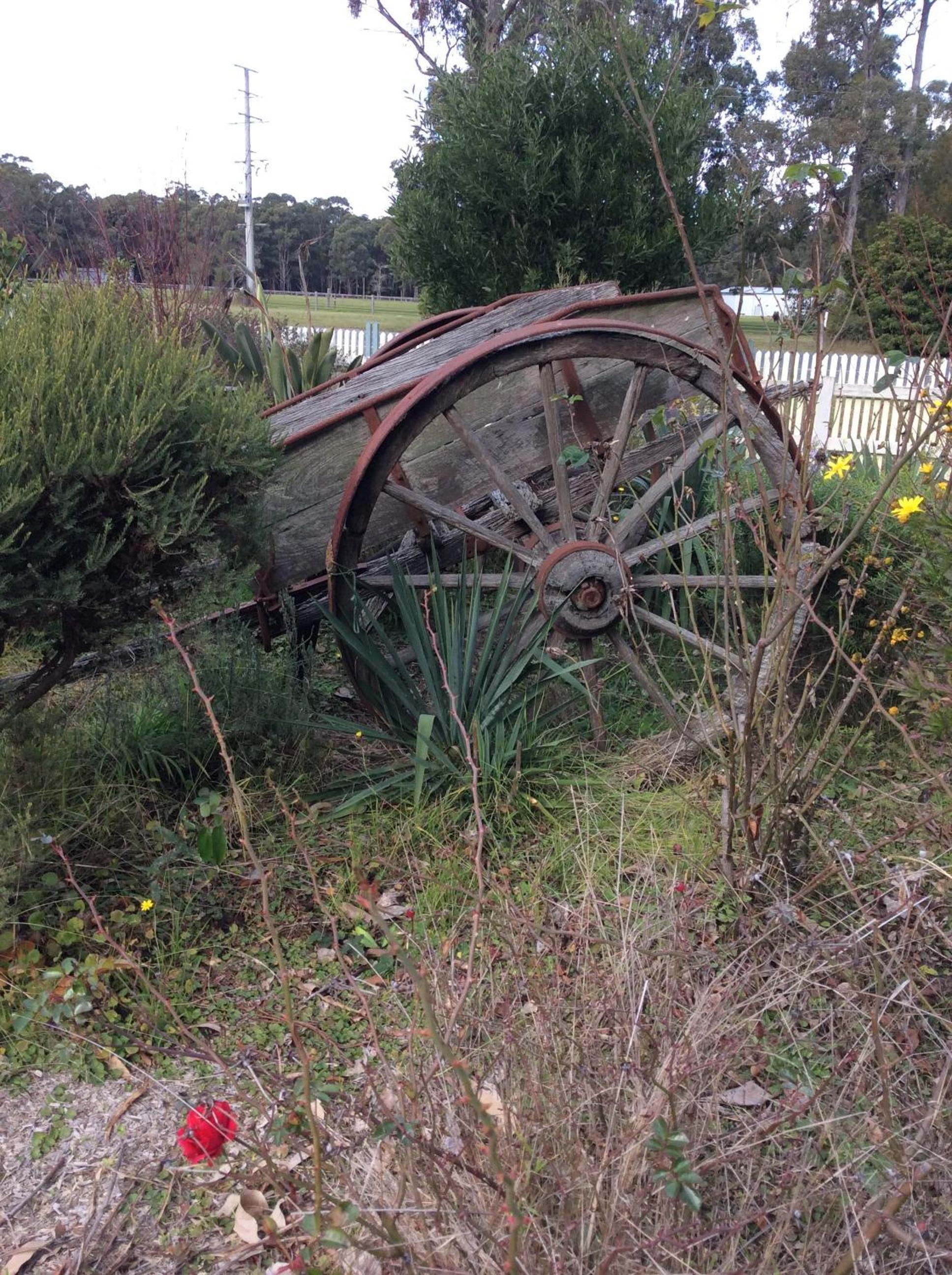 General view 4, Snowy River Lodge Motel, E. Gippsland - Orbost