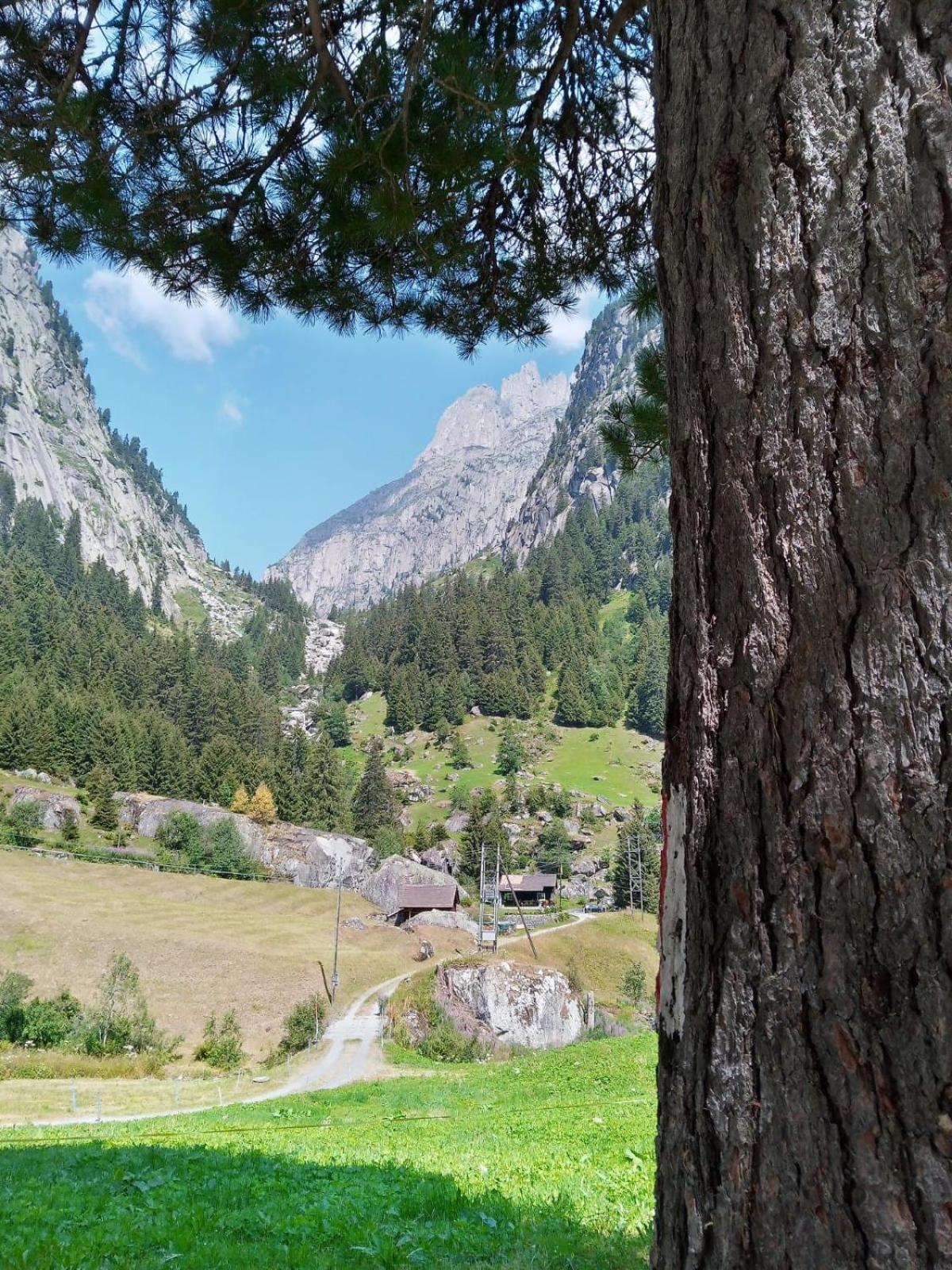 Gotthard Backpacker
