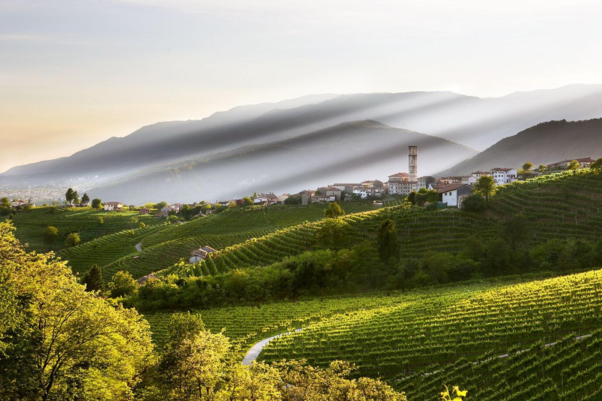 Hotel Canon d'Oro by null