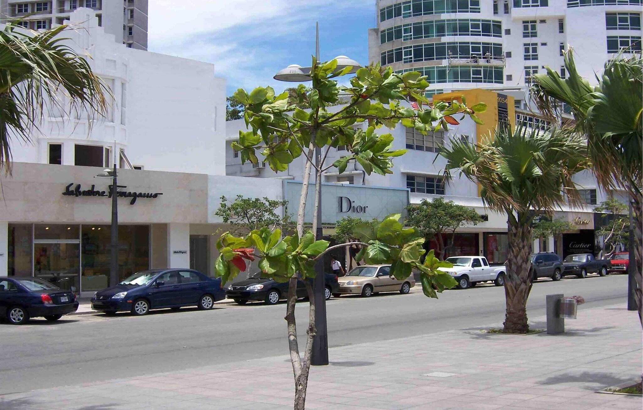 La Concha Resort, Puerto Rico, Autograph Collection by null