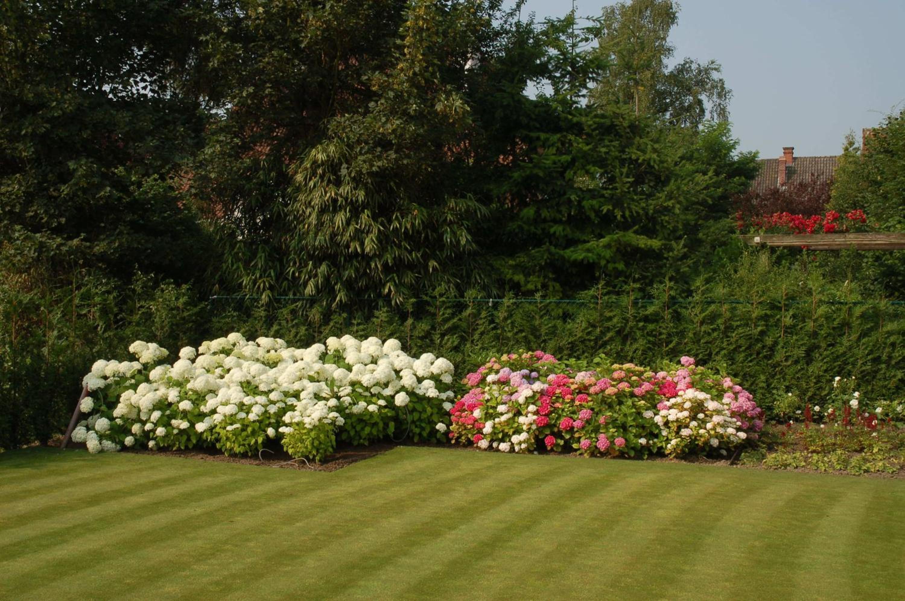 B&b Bloemenweelde