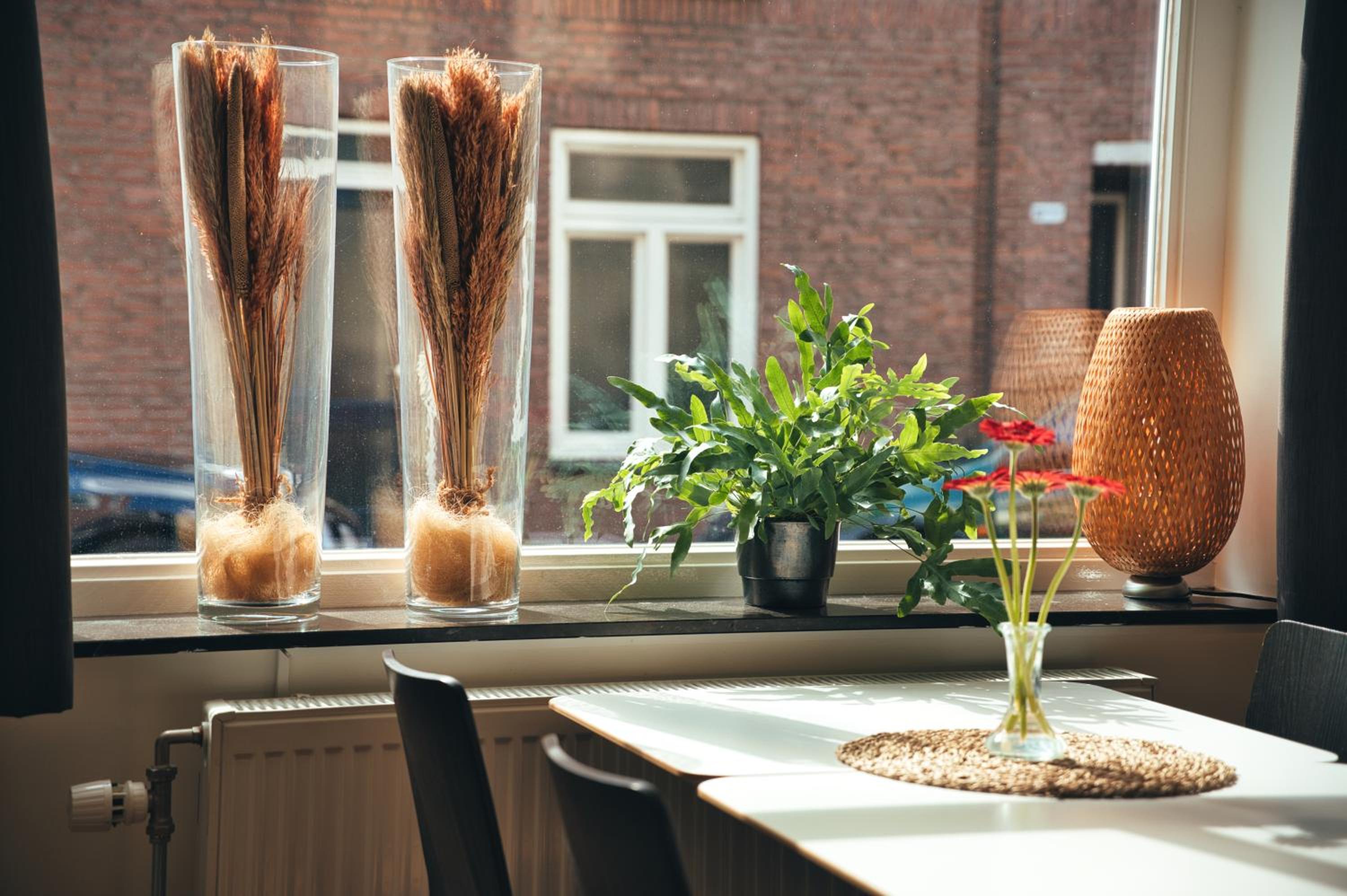 B&b De Hofnar Roermond