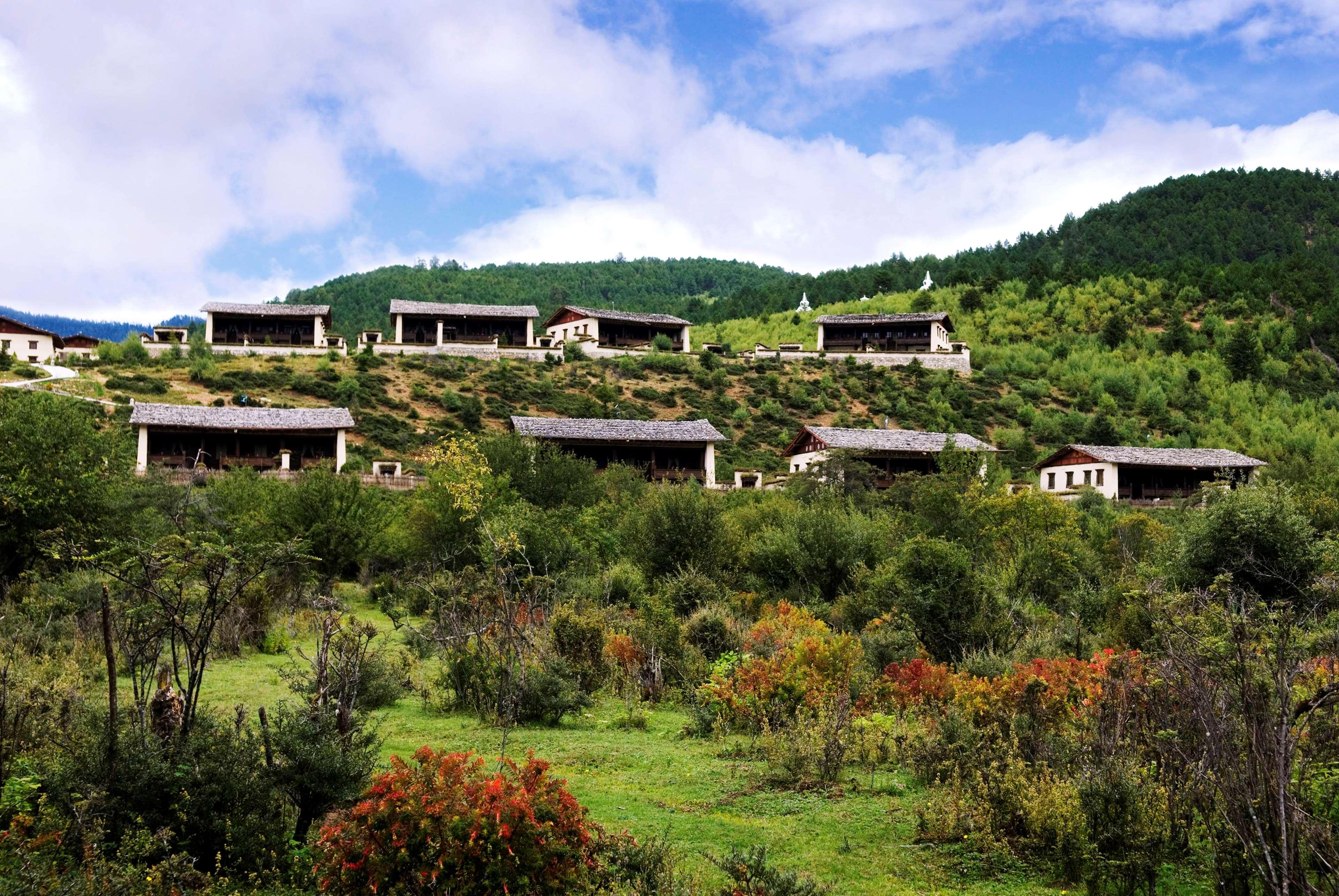 Banyan Tree Ringha by null