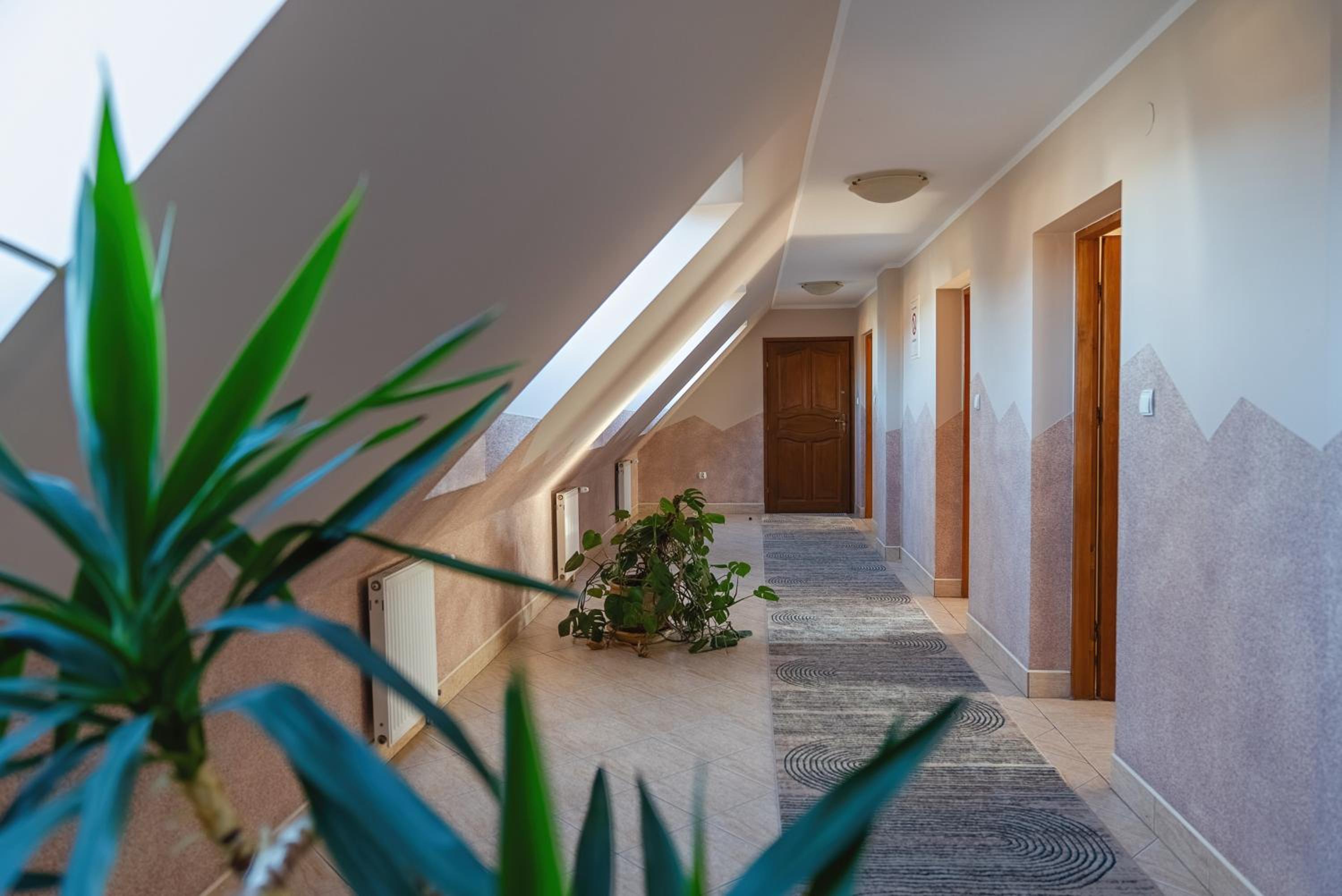 Pokoje Pod Tatrami & Apartamenty Bialy Dunajec