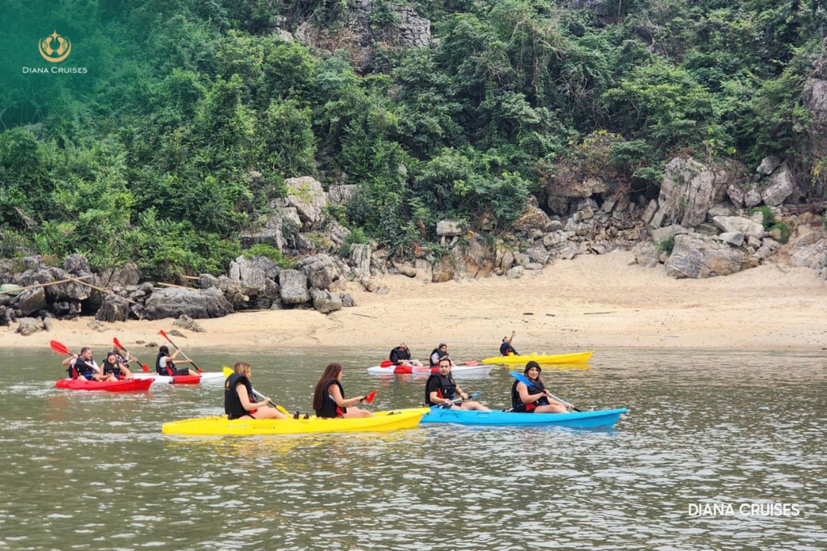 Venus Cruises Halong Bay By Venus Group