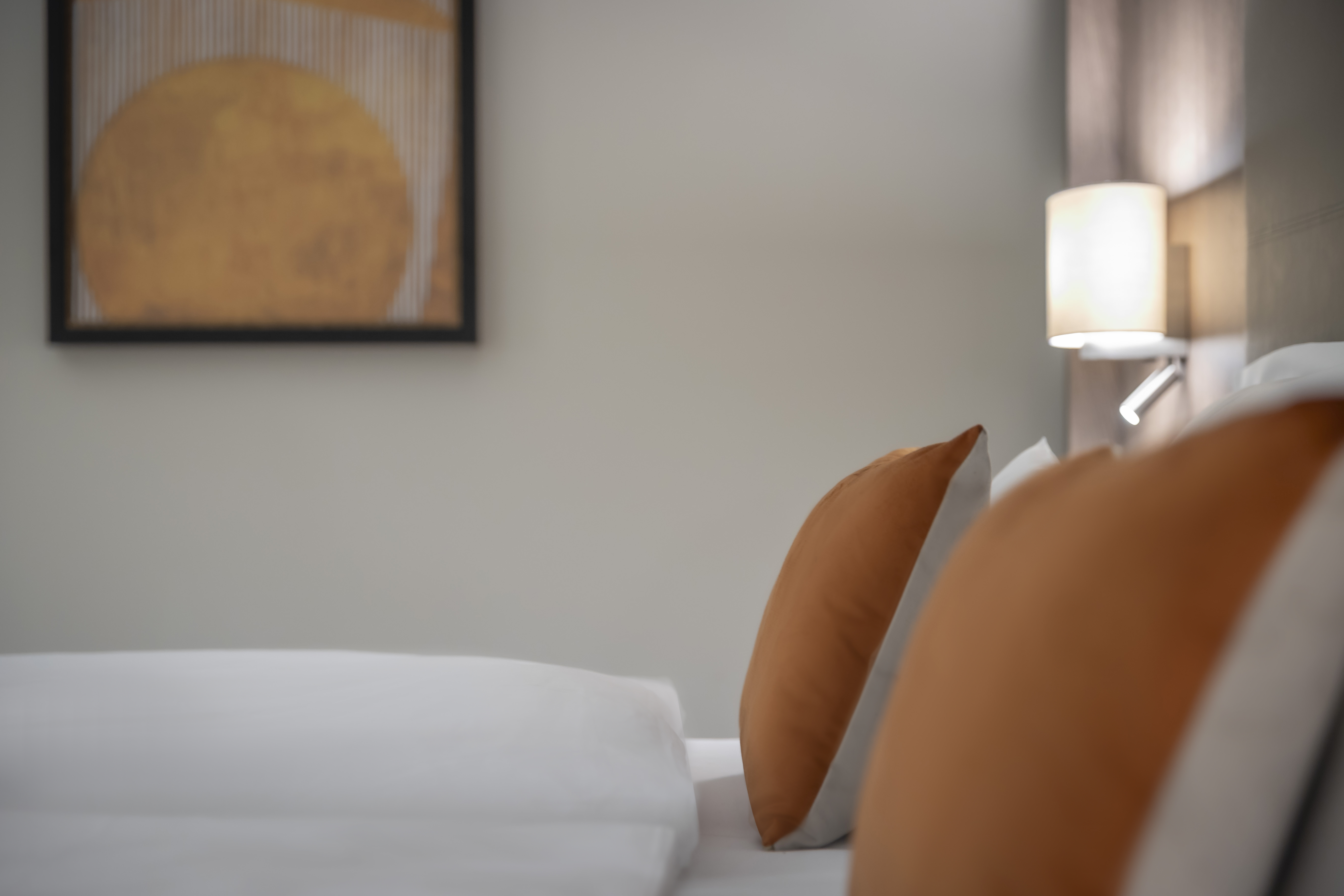 Habitación individual, deluxe