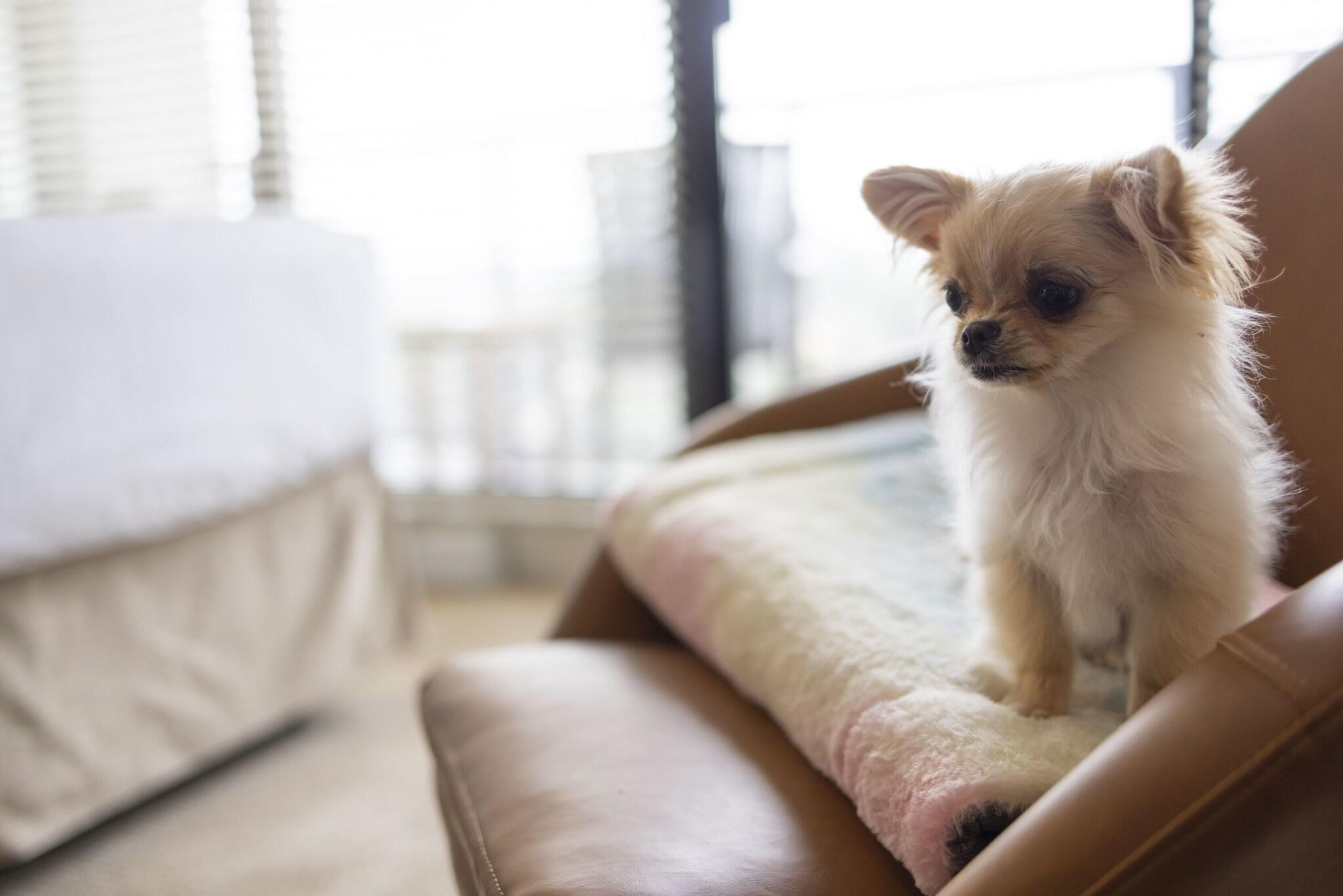 Oswego Hotel by null