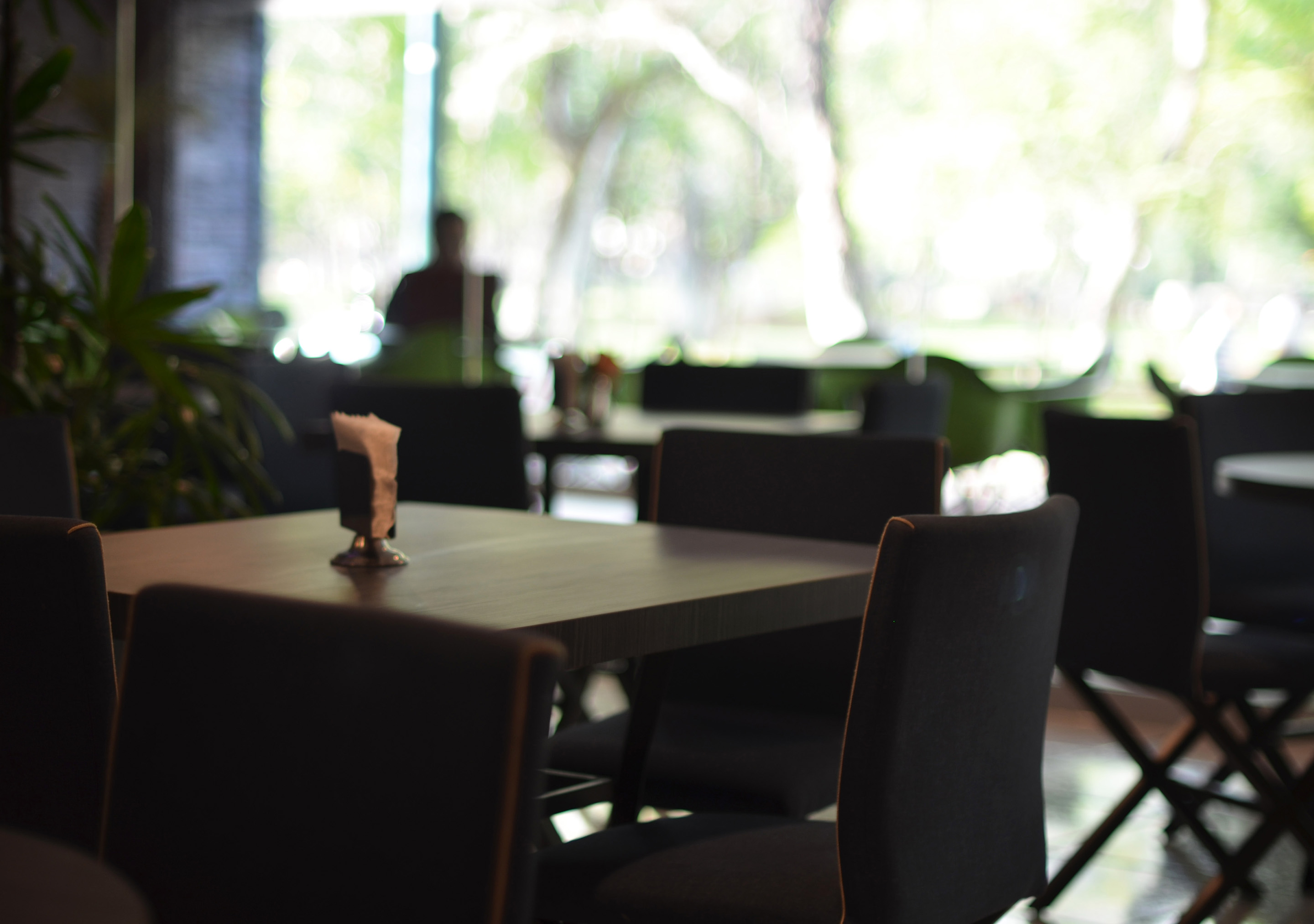 Hotel Diana del Bosque by DOT Urban