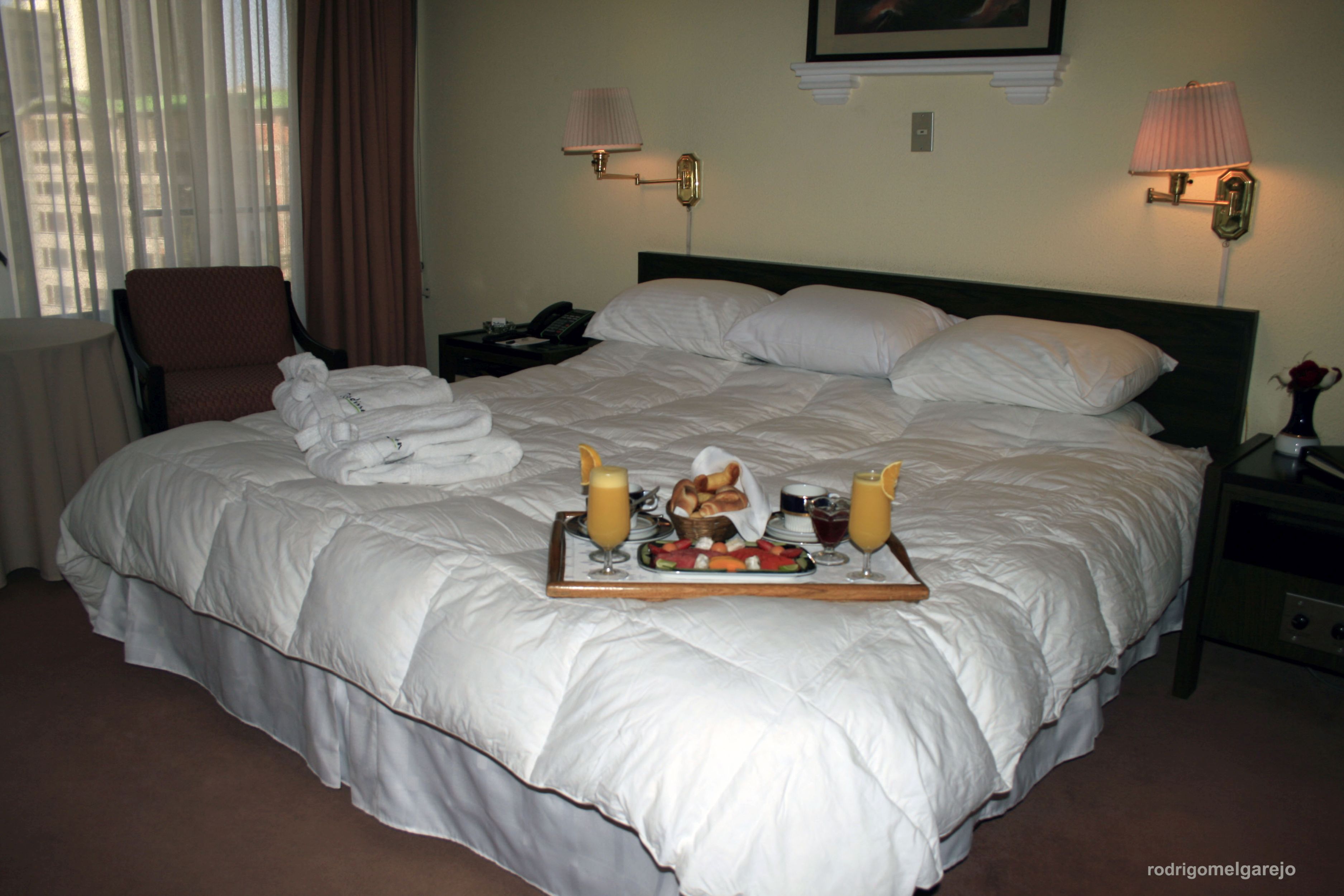 Real Plaza Hotel & Convention Center by null