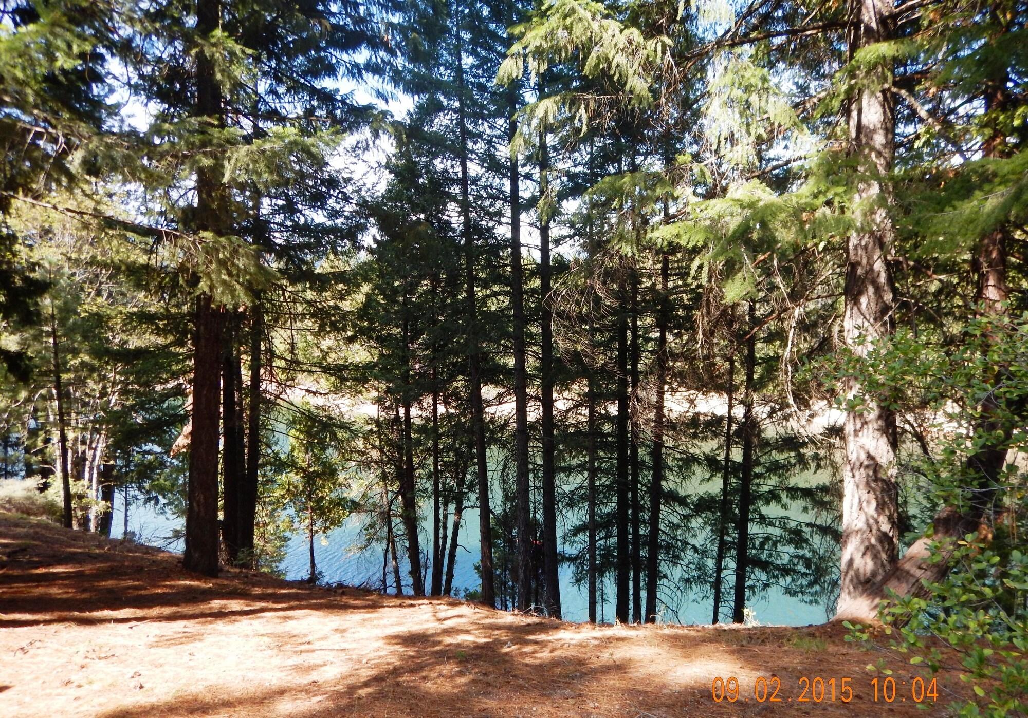 Mount Shasta Resort by null
